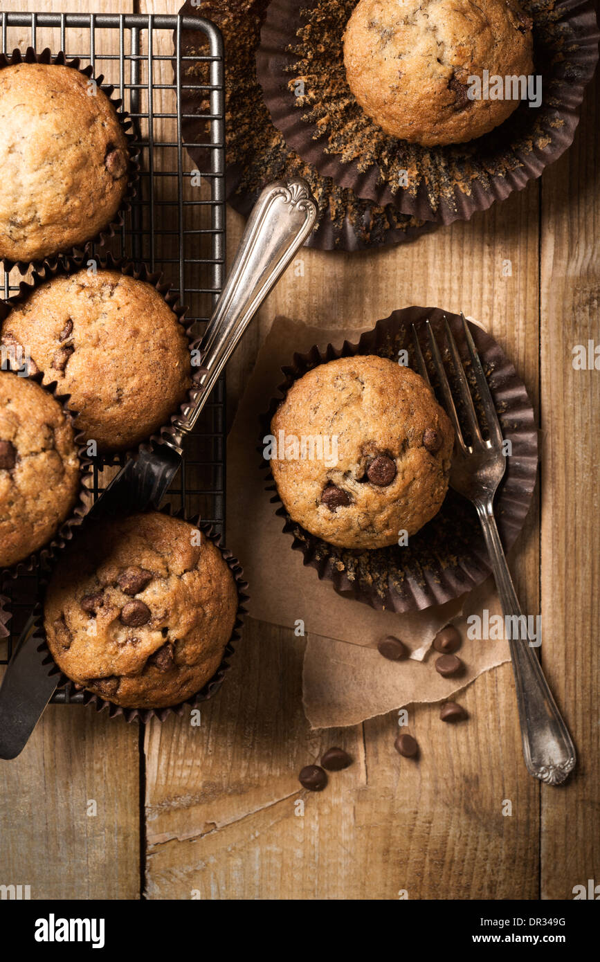 Muffins aux pépites de chocolat sur grille de refroidissement Banque D'Images