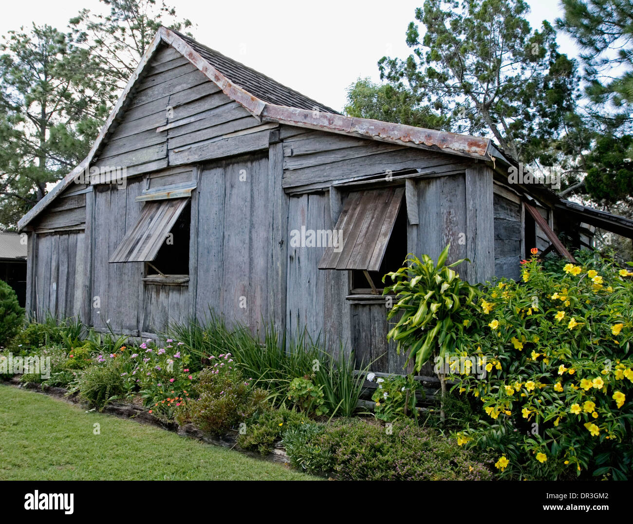 19ème siècle historique dalle bois hut / settler's Cottage et jardins au musée à Hervey Bay, Queensland, Australie Banque D'Images