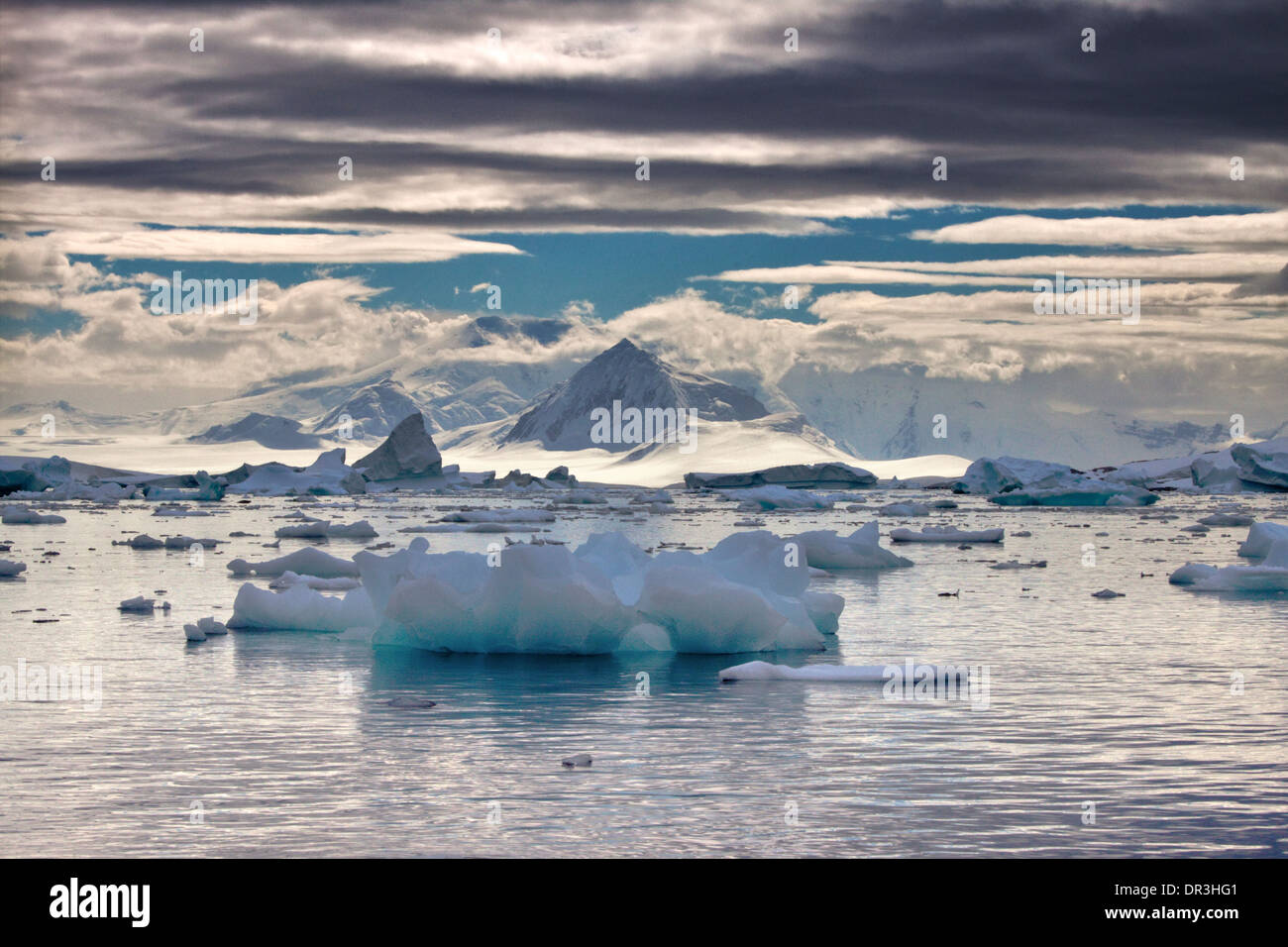 Les icebergs et les îles au large de la péninsule Antarctique Banque D'Images