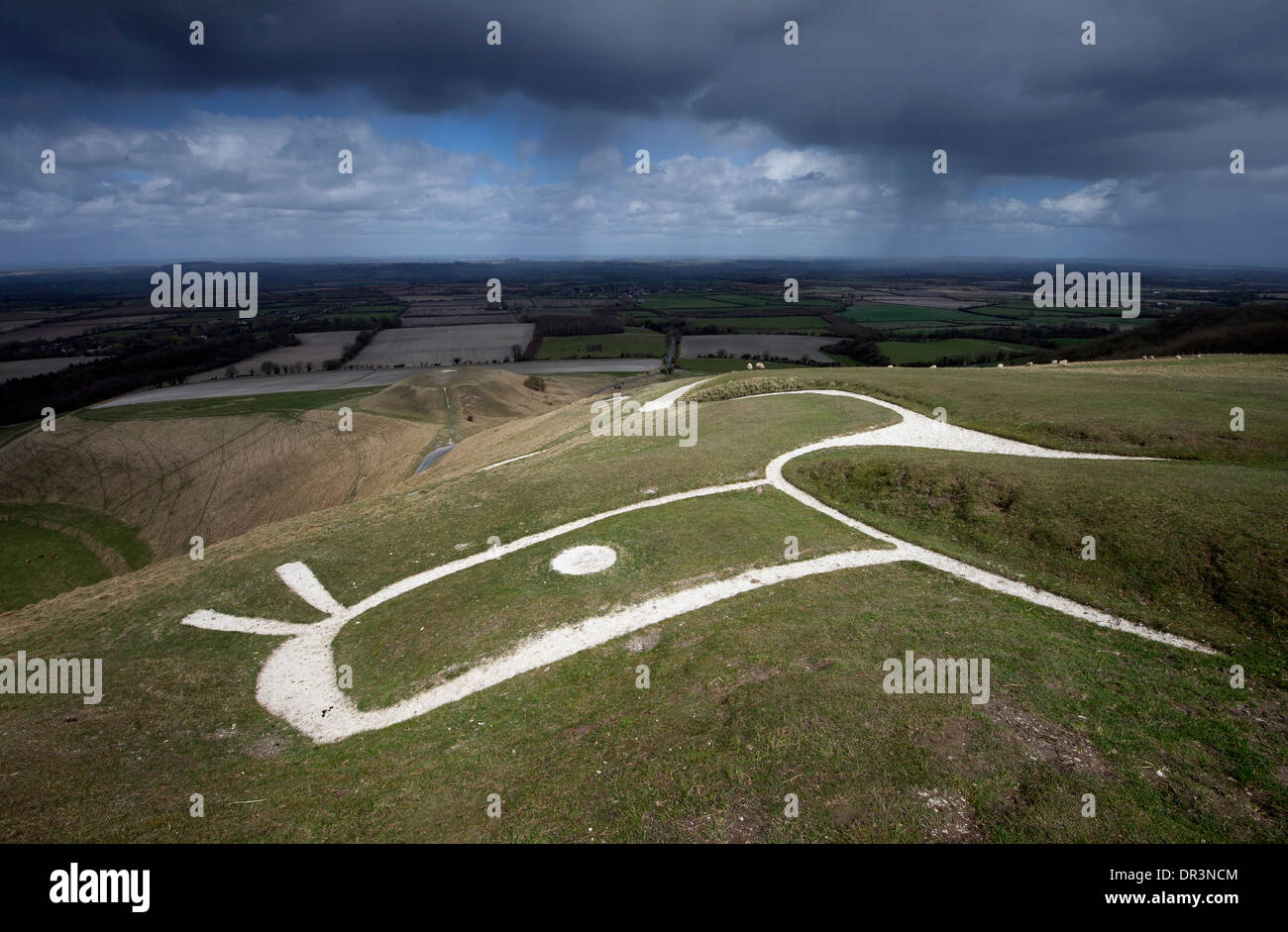 The Uffington White Horse, Wiltshire, Royaume-Uni. Banque D'Images