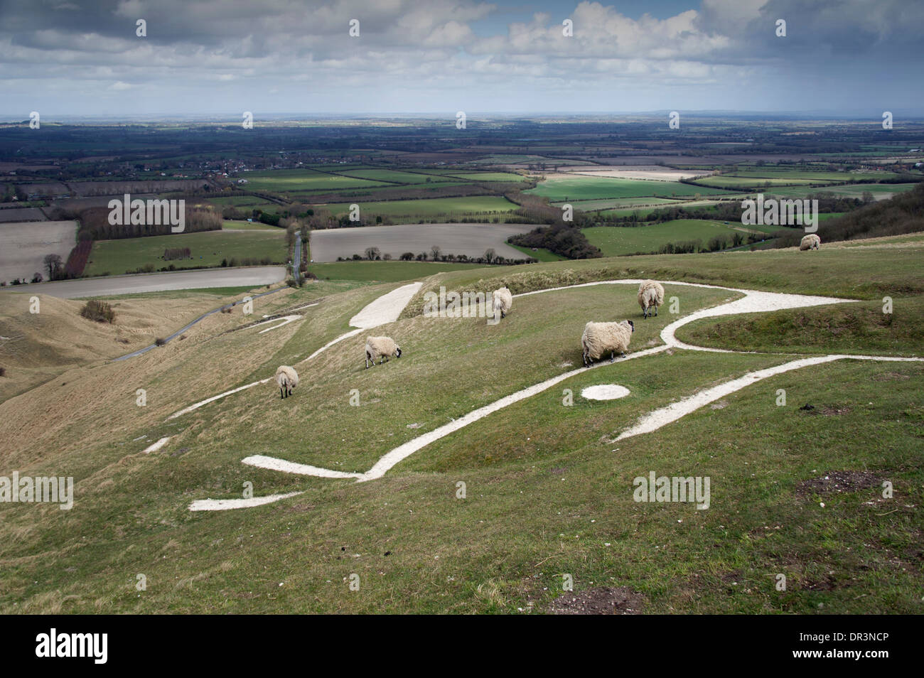 The Uffington White Horse, Wiltshire, Royaume-Uni. Banque D'Images