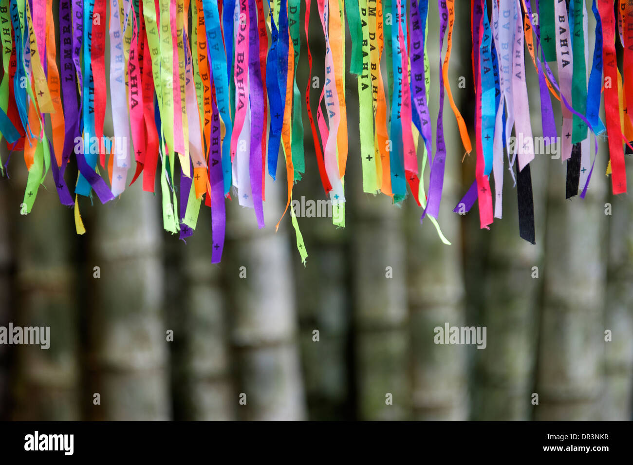 Carnaval brésilien coloré lembranca rubans souhaite contre forêt de bambou jungle background Banque D'Images