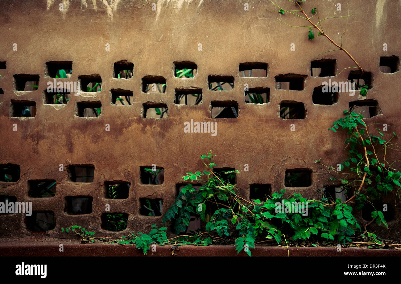 Les trous de mur brun vert rayures Egypte Banque D'Images