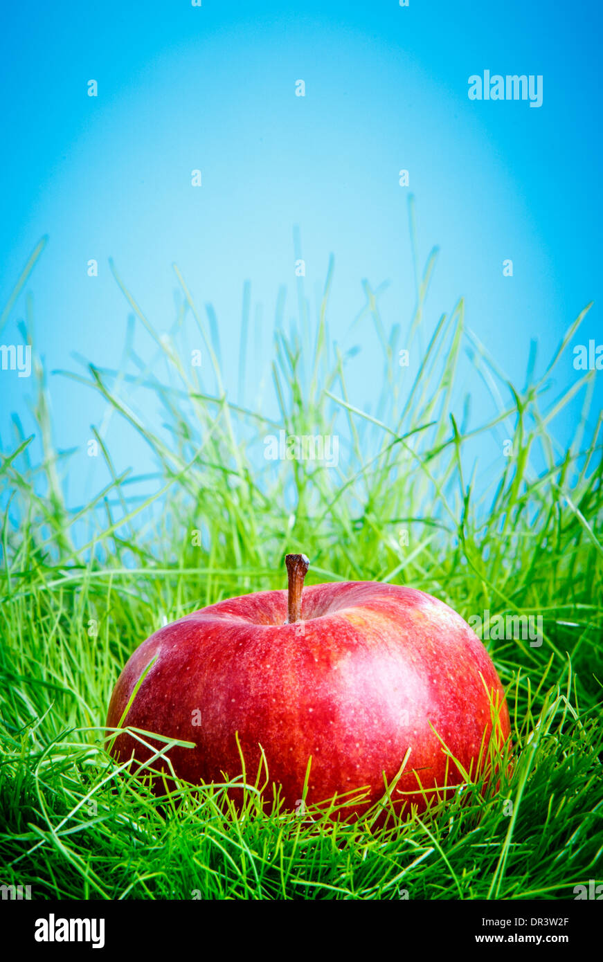 Pomme rouge sur l'herbe verte sur fond bleu. Banque D'Images