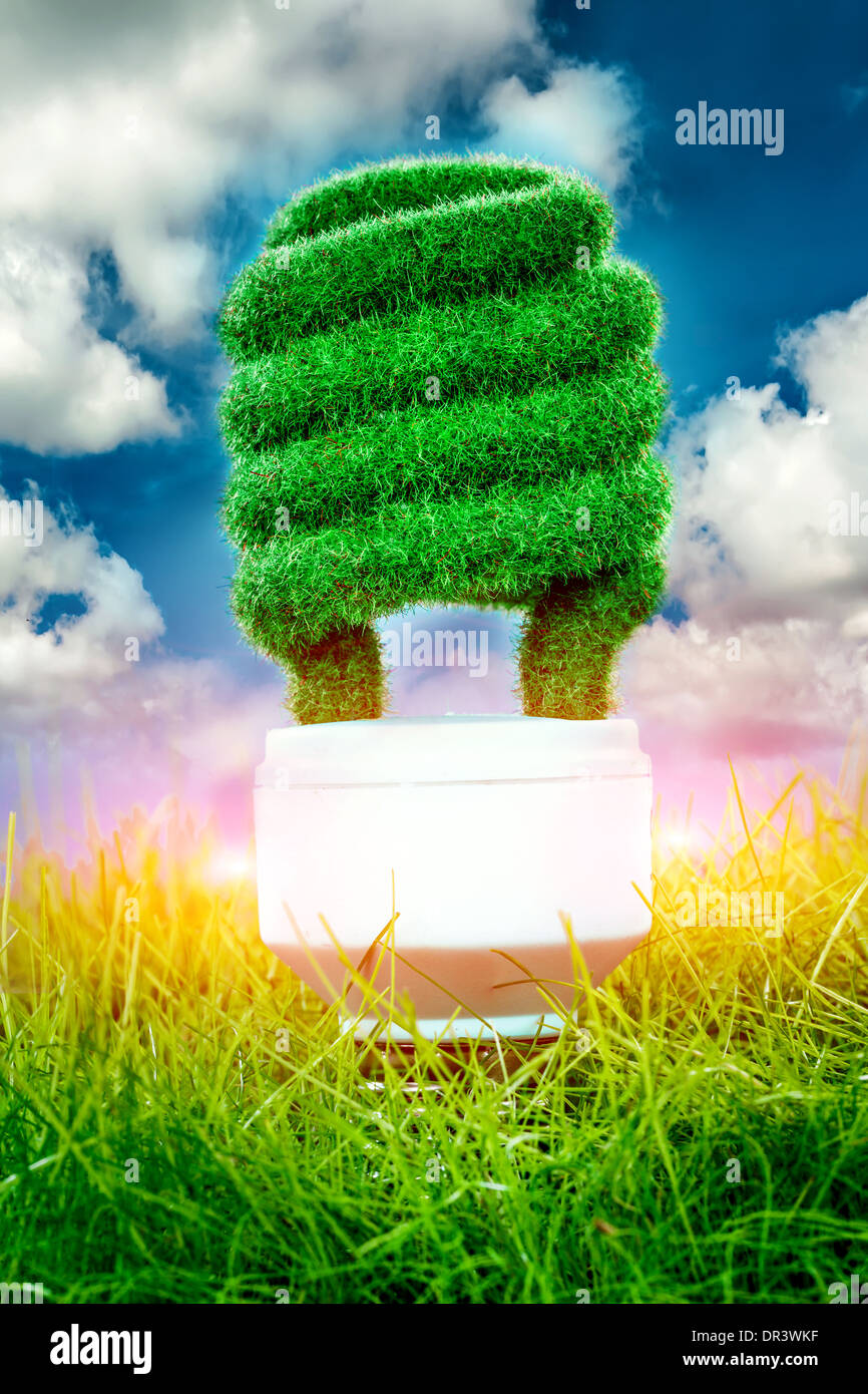 Eco ampoule dans l'herbe verte sur fond de ciel bleu Banque D'Images