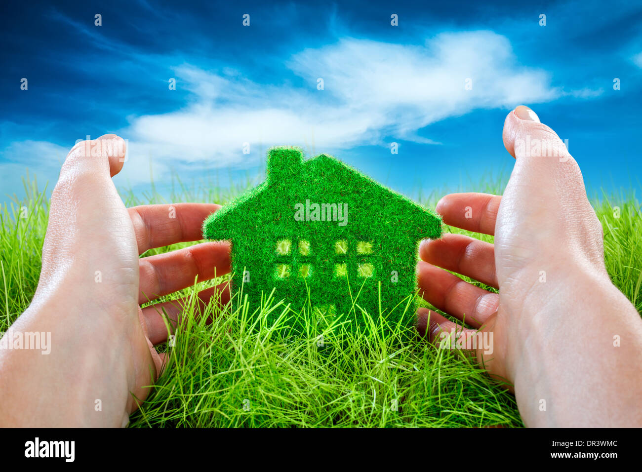 Eco House in Green grass protégés par la main d'homme sur fond de ciel bleu. Banque D'Images