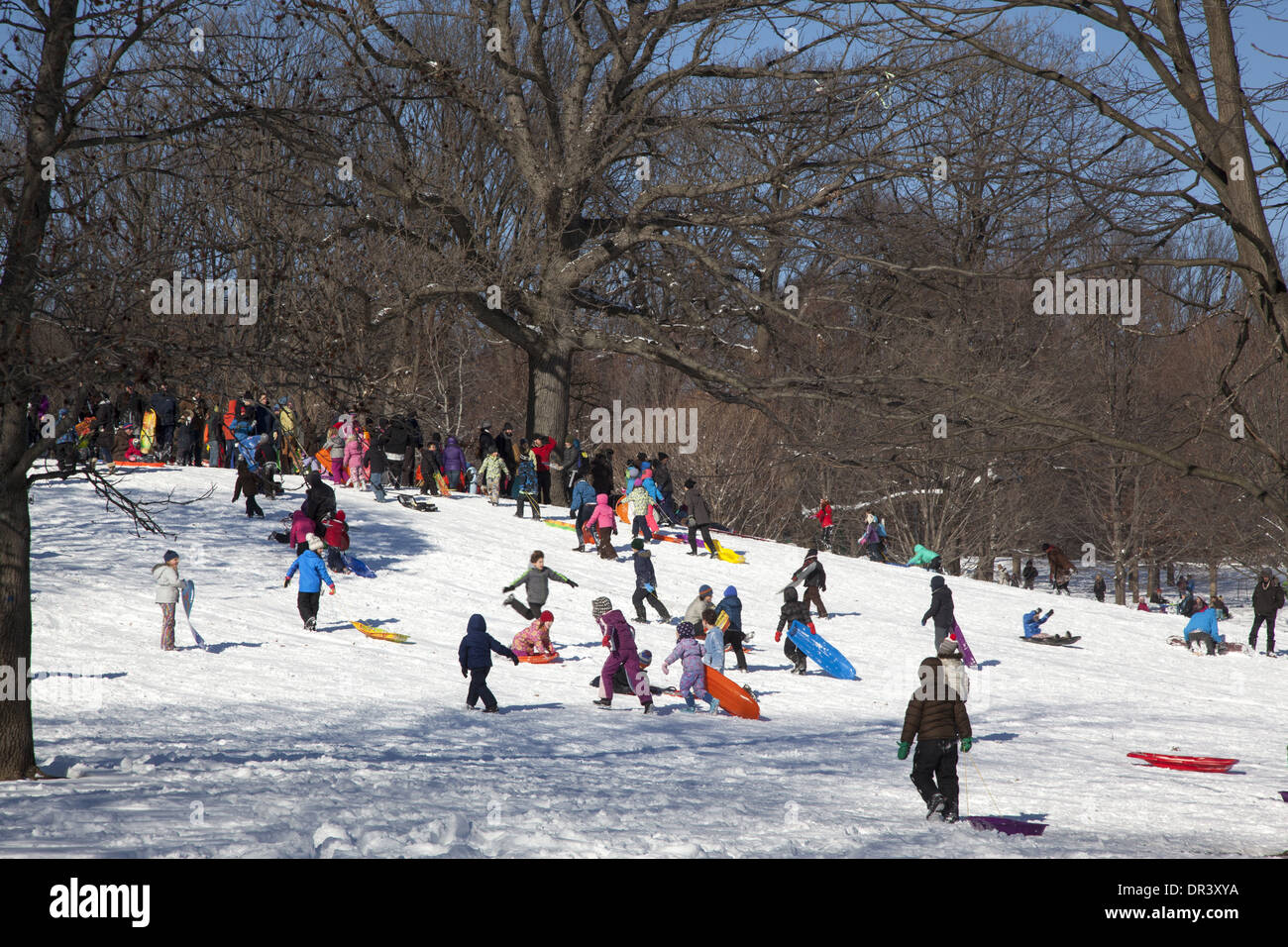 De nombreux enfants et parents de la luge après le premier rendez-vous de la bonne neige de 2014 à Prospect Park, Brooklyn, NY Banque D'Images
