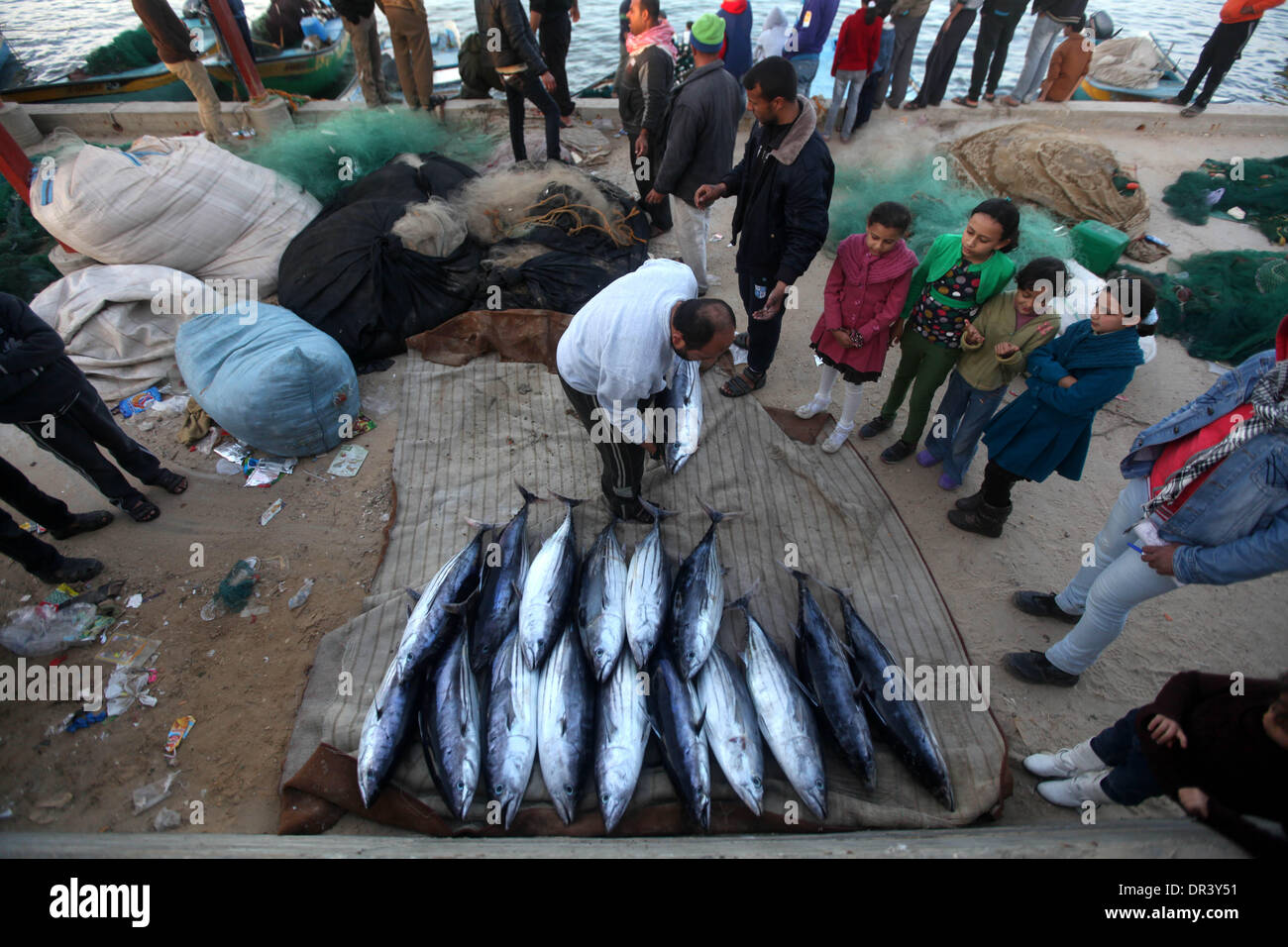 Gaza, Territoires palestiniens. 19 Jan, 2014. Pêcheur palestinien collecter les poissons à l'intérieur du port de Gaza, le 19 janvier 2014. © Majdi Fathi/NurPhoto ZUMAPRESS.com/Alamy/Live News Banque D'Images