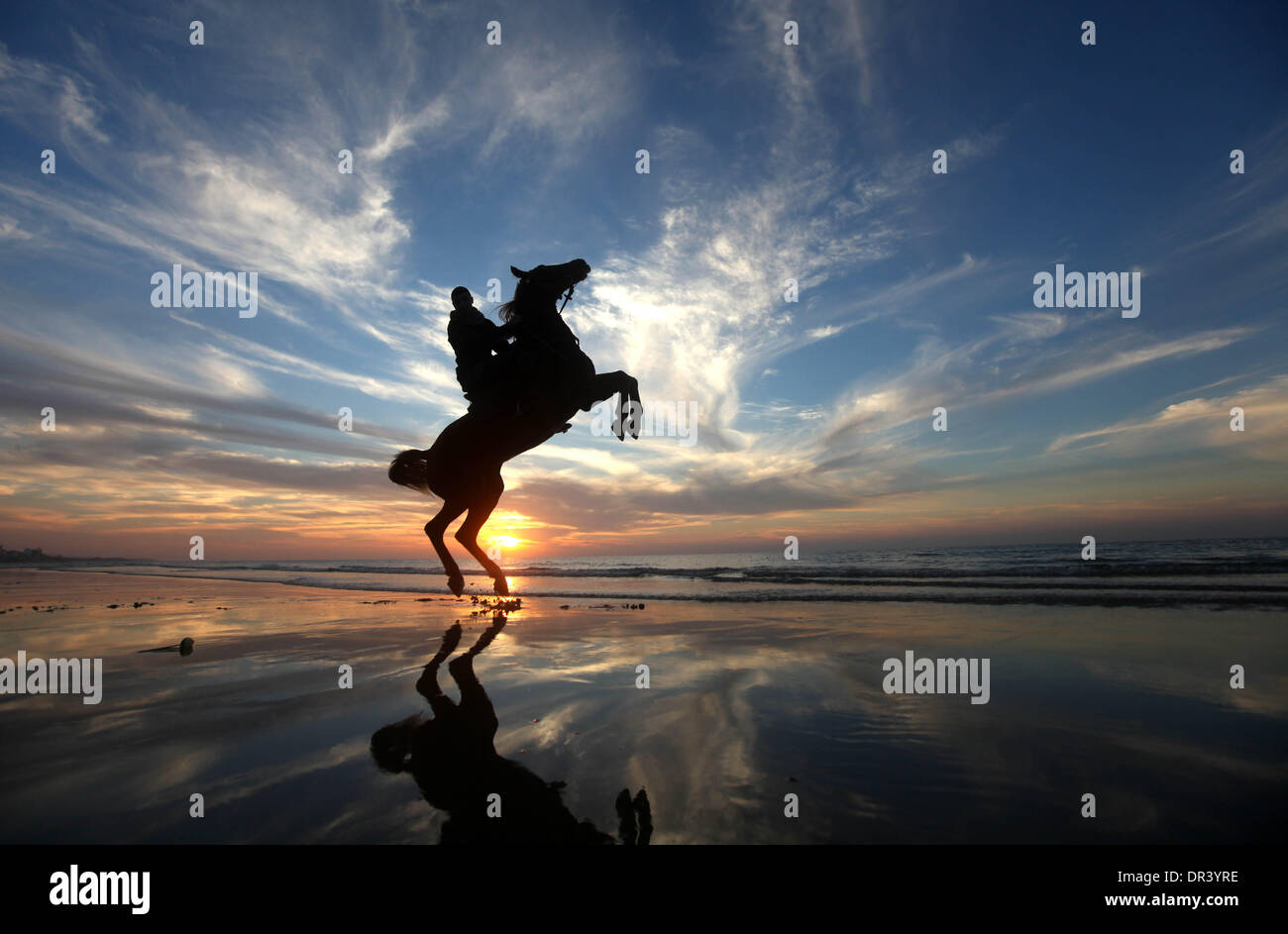 Gaza, Territoires palestiniens. 19 Jan, 2014. Un palestiniens monte un cheval sur la plage de Gaza au coucher du soleil dans la ville de Gaza, le 19 janvier 2014. © Majdi Fathi/NurPhoto ZUMAPRESS.com/Alamy/Live News Banque D'Images