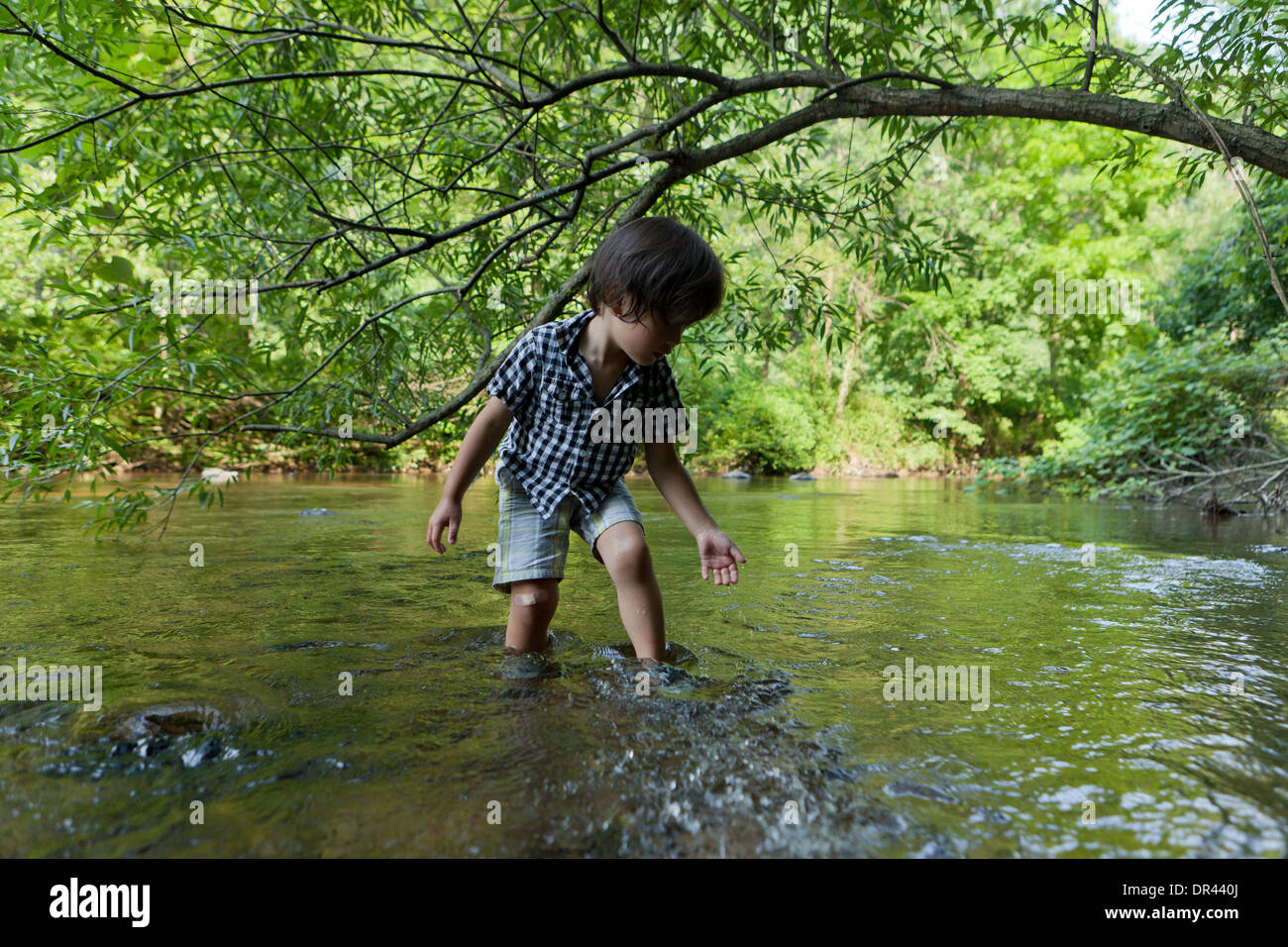 Asian boy playing in stream - USA Banque D'Images