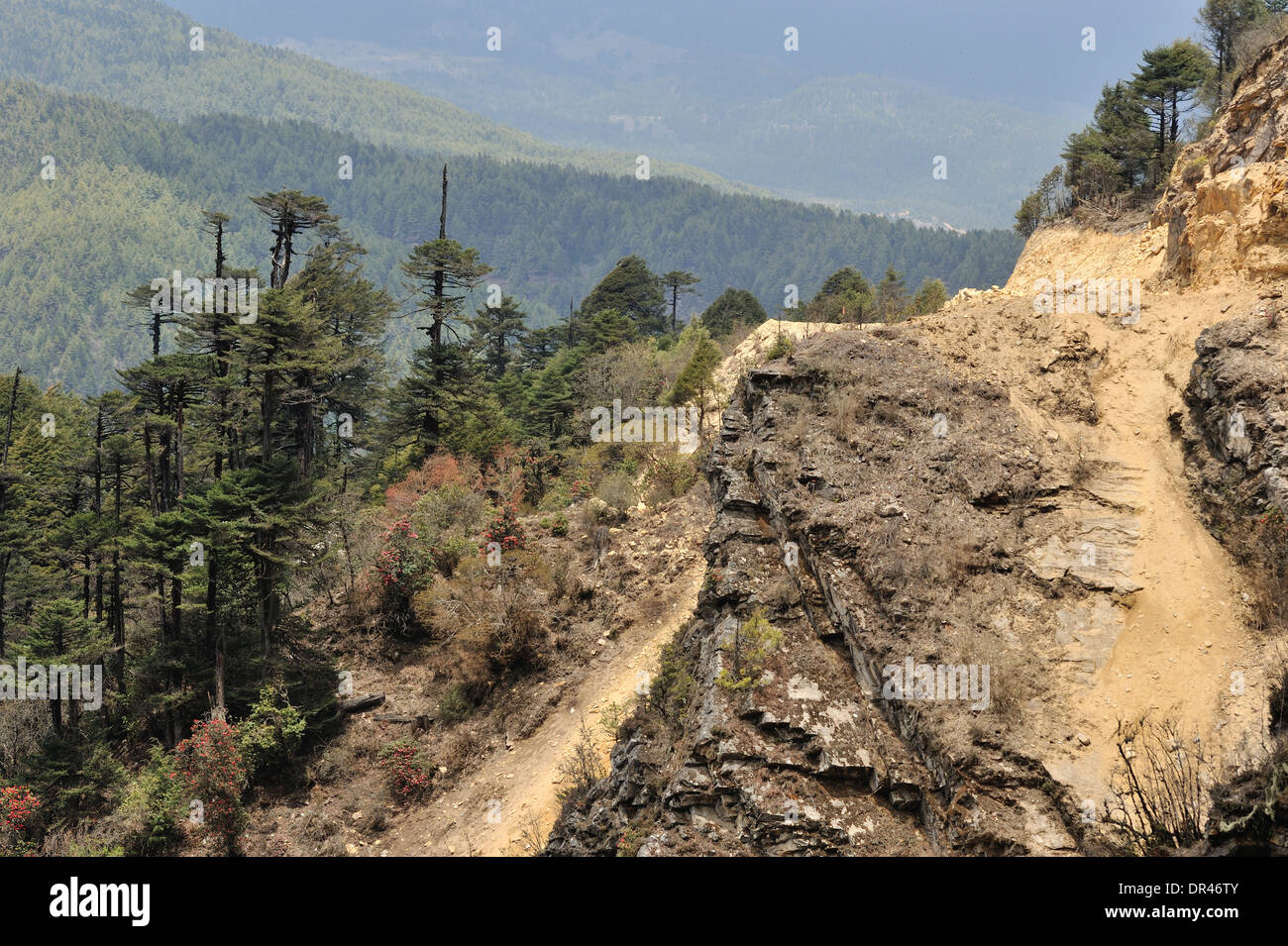 Paysage de l'himalaya le long de la route de Jakar Mongar, à l'Est du Bhoutan Banque D'Images