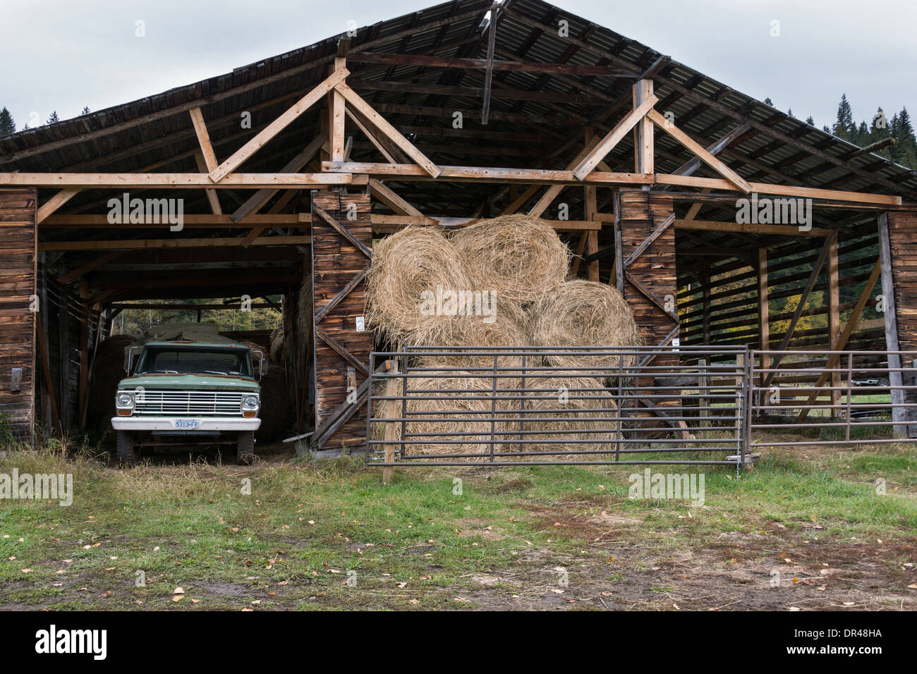 Grange en bois avec de vieux camion Ford et bottes de foin, dans une ferme près de probable, région de Cariboo-Chilcotin, Colombie-Britannique Banque D'Images