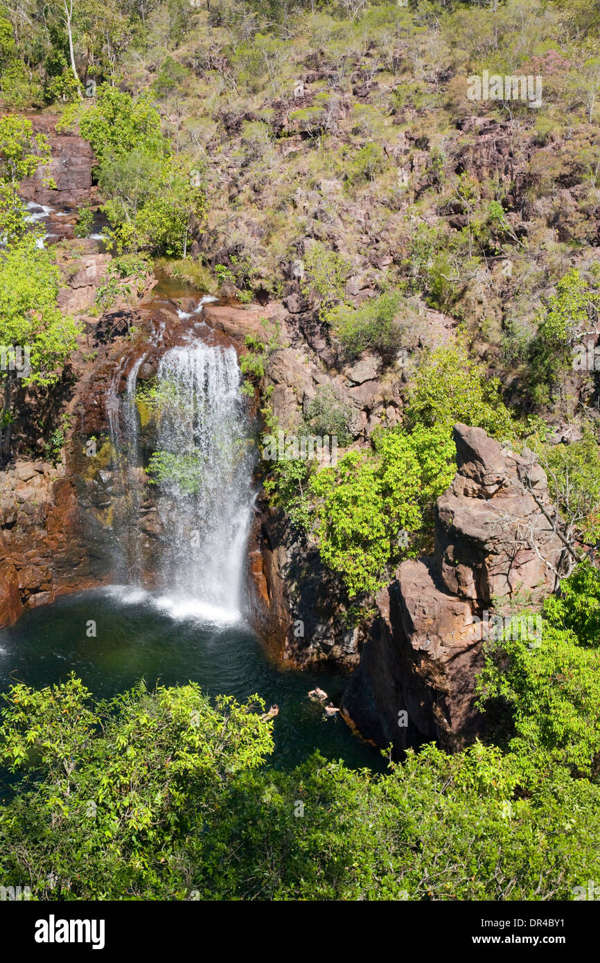 Florence Falls et piscine dans la région de Litchfield National Park, territoire du Nord, Australie Banque D'Images