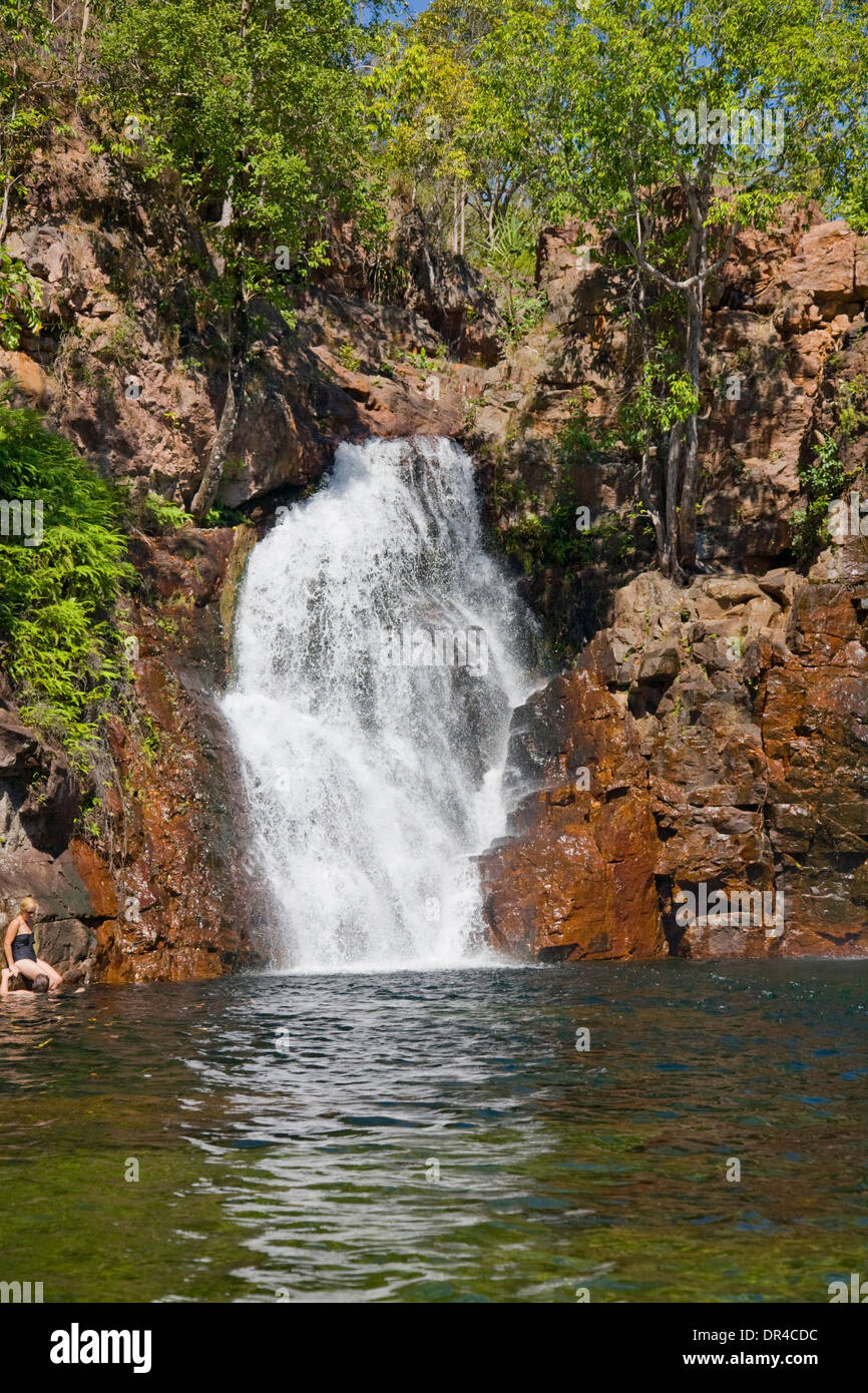 Florence Falls et piscine dans la région de Litchfield National Park, territoire du Nord, Australie Banque D'Images
