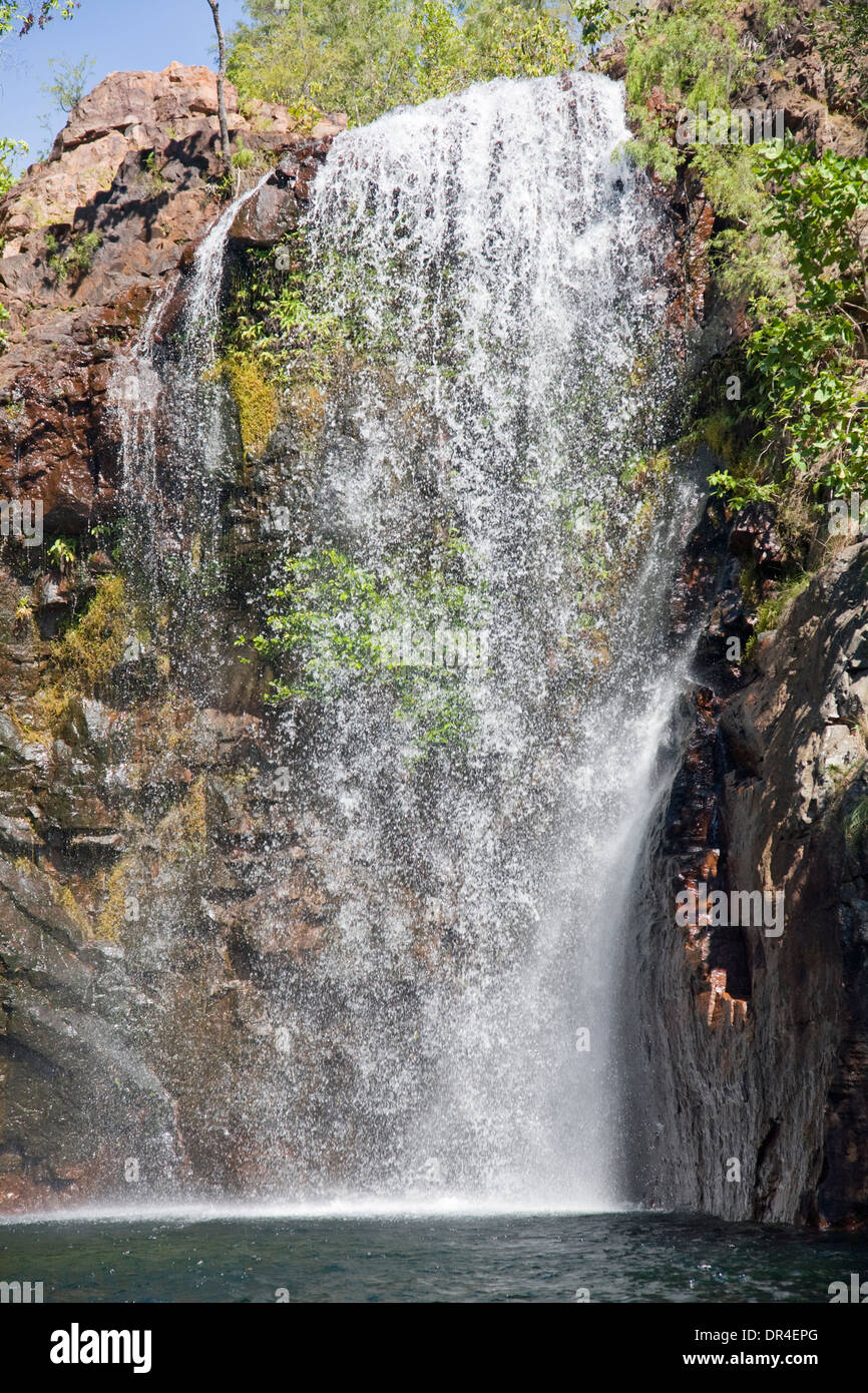 Florence Falls et piscine dans la région de Litchfield National Park, territoire du Nord, Australie Banque D'Images