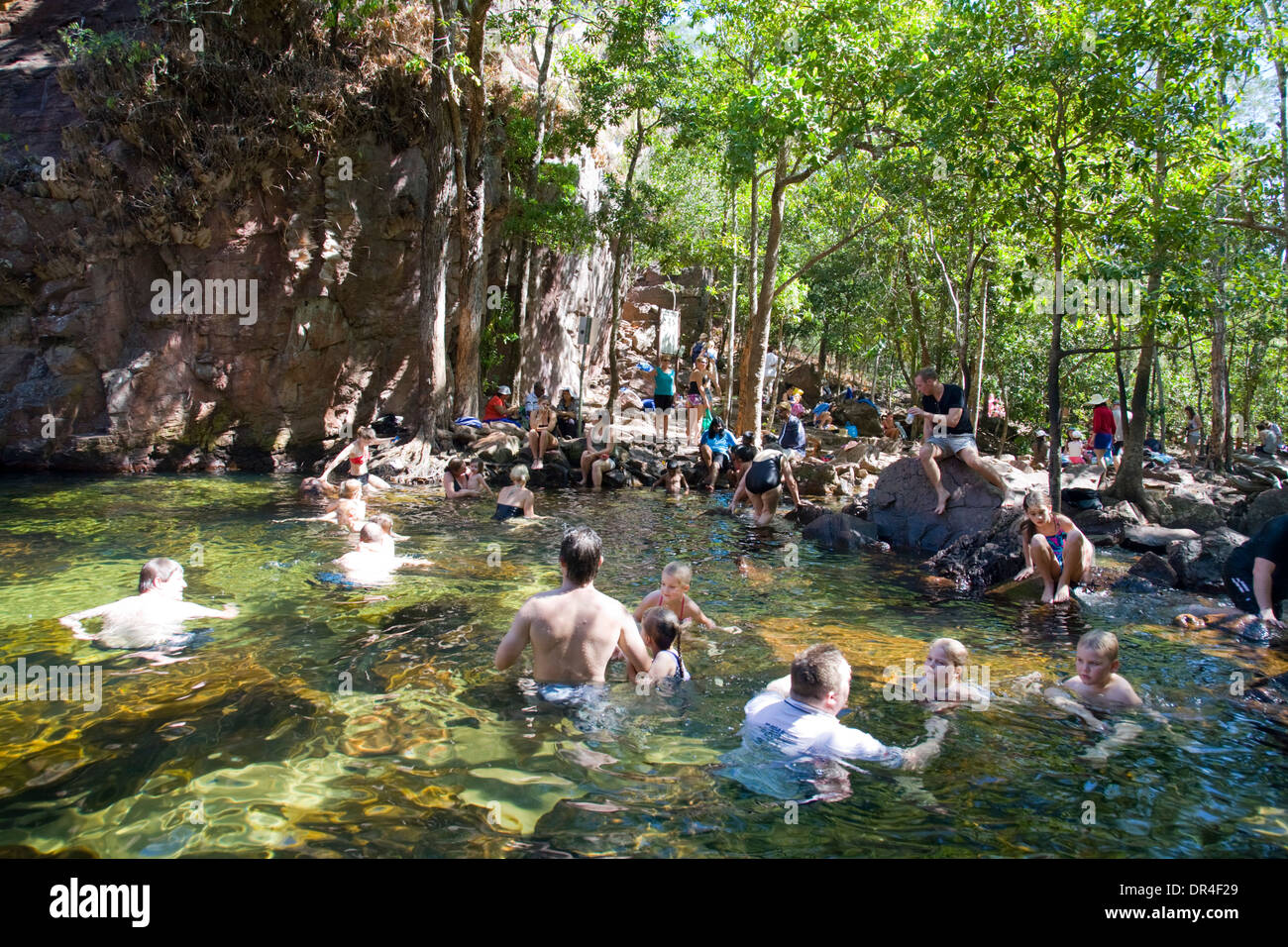 Florence tombe et piscine de plongée dans le parc national de litchfield, territoire du nord, australie avec des personnes nageant dans les eaux chaudes tropicales Banque D'Images