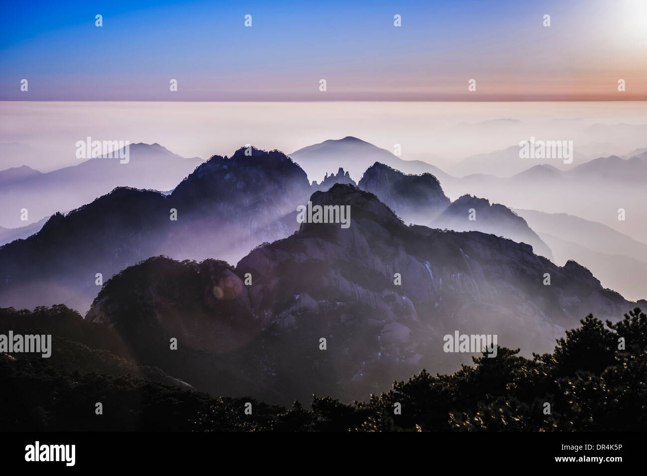 Le brouillard roulant sur les montagnes rocheuses, Huangshan, Anhui, Chine Banque D'Images
