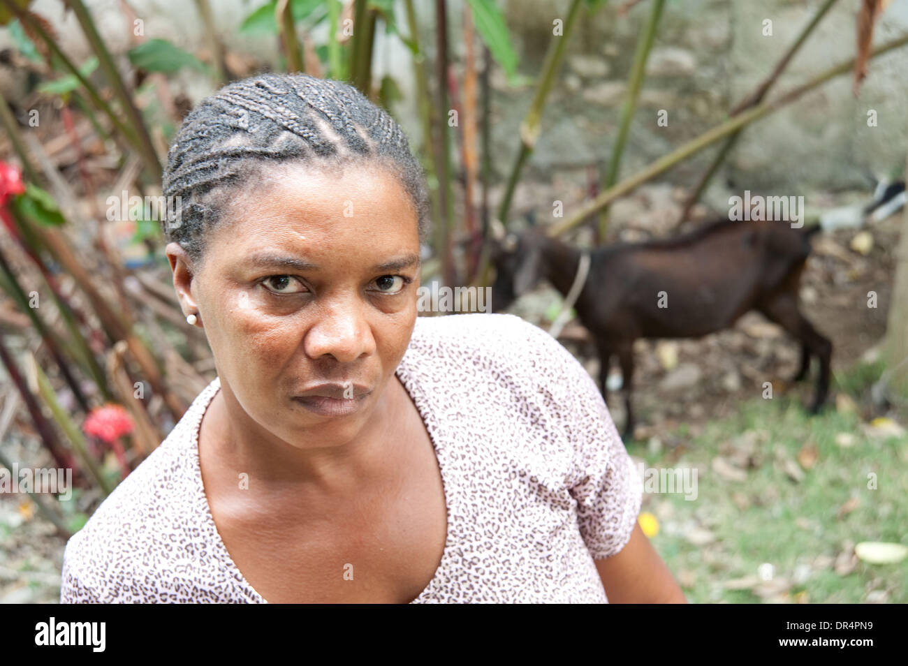 Apr 23, 2009 - Les Cayes, Haïti - une femme qui a perdu sa maison et son bétail à l'inondation à la suite de l'ouragan Ike pose avec un nouveau bouc qu'elle a reçue dans le cadre d'un projet d'élevage par l'intermédiaire d'un organisme d'aide internationale pour les personnes touchées par la saison des ouragans de 2008. (Crédit Image : © David Snyder/ZUMA Press) Banque D'Images