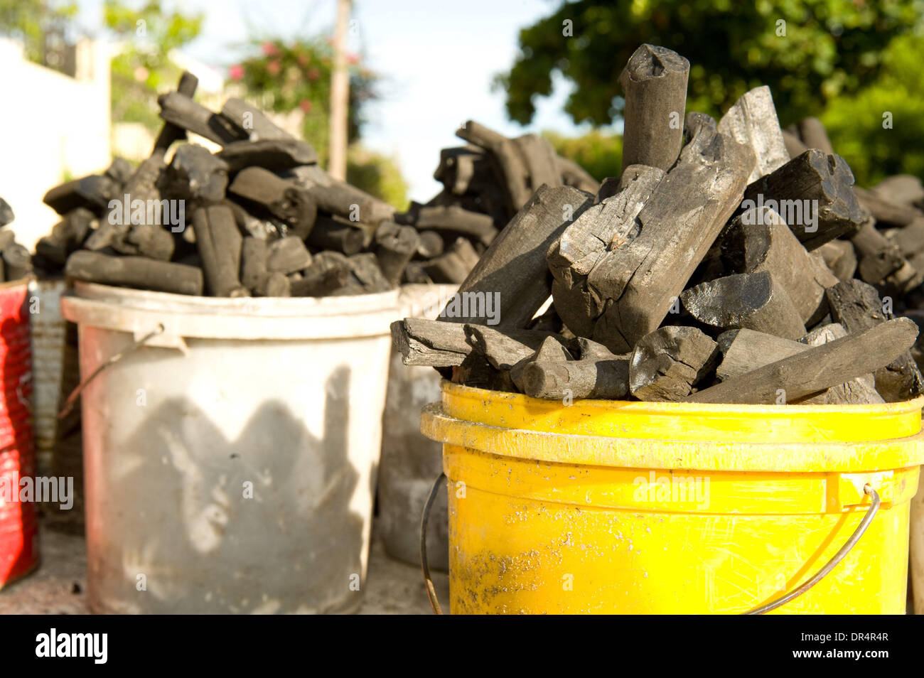 25 avr 2009 - Port-au-Prince, Haïti - Charbon à vendre à la communauté de Delmas, à Port-au-Prince. Fabrication Charocal est un des principaux contributeurs aux problèmes de déboisement continu d'Haïti. (Crédit Image : © David Snyder/ZUMA Press) Banque D'Images 25 avr 2009 - Port-au-Prince, Haïti - Charbon à vendre à la communauté de Delmas, à Port-au-Prince. Fabrication Charocal est un des principaux contributeurs aux problèmes de déboisement continu d'Haïti. (Crédit Image : © David Snyder/ZUMA Press) Banque D'Images