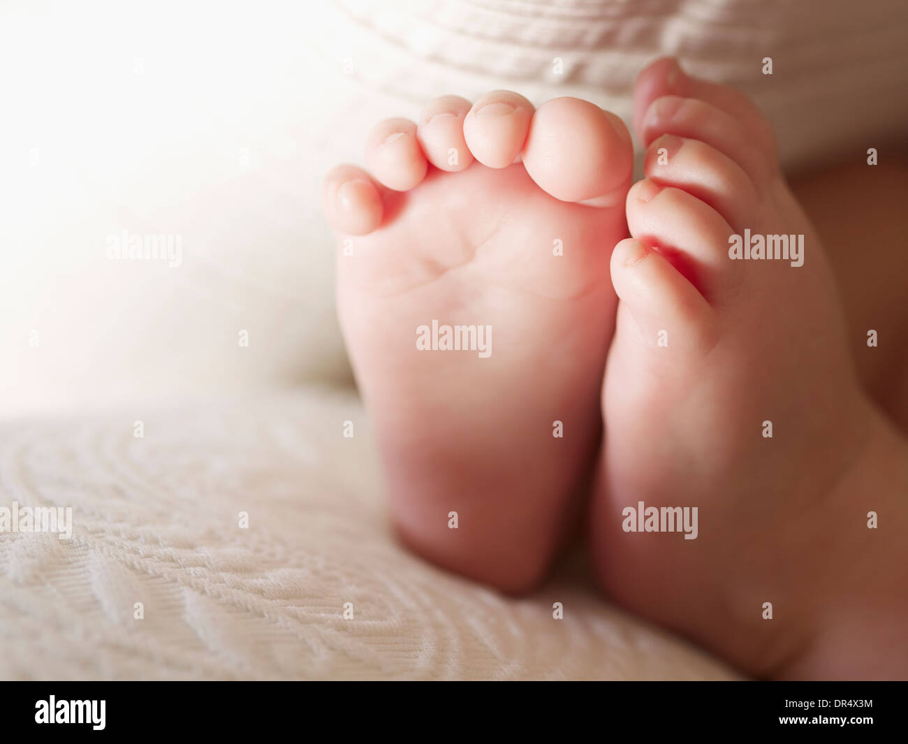 Close up of Caucasian baby's feet Banque D'Images