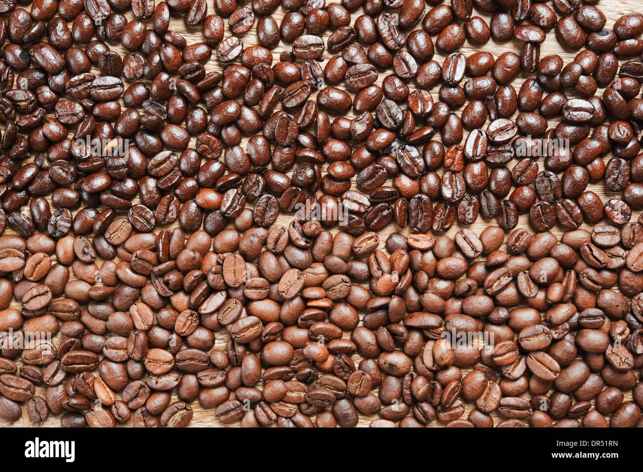 Arrière-plan de grains de café à partir de deux différents types de café sur la table en bois ancien Banque D'Images