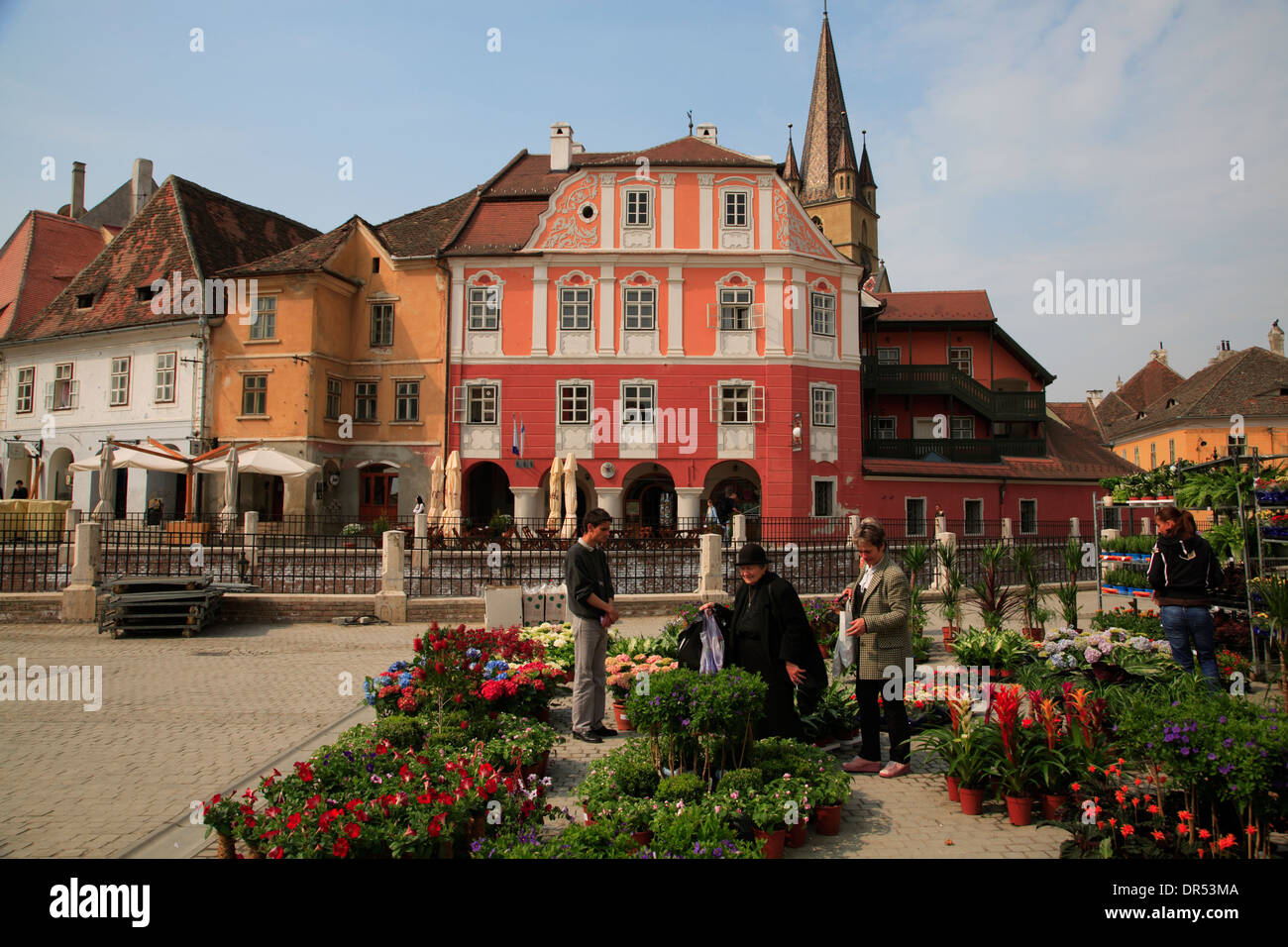 Marché aux fleurs de la Piata Mica, petite place du marché, de Sibiu (Hermannstadt), Transylvanie, Roumanie, Europe Banque D'Images
