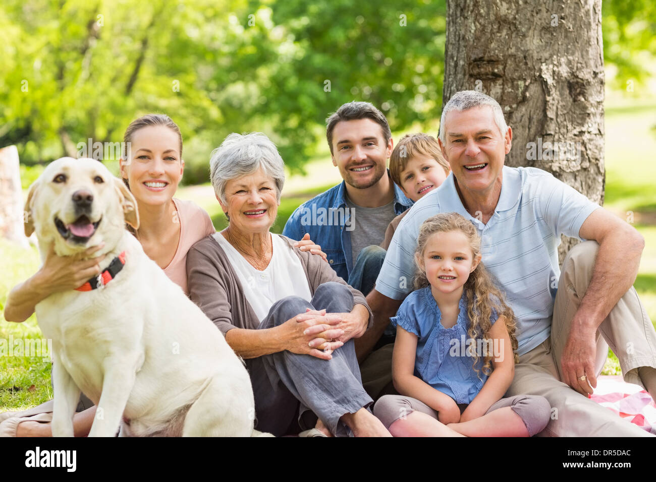 Famille élargie avec leur chien de compagnie au park Banque D'Images
