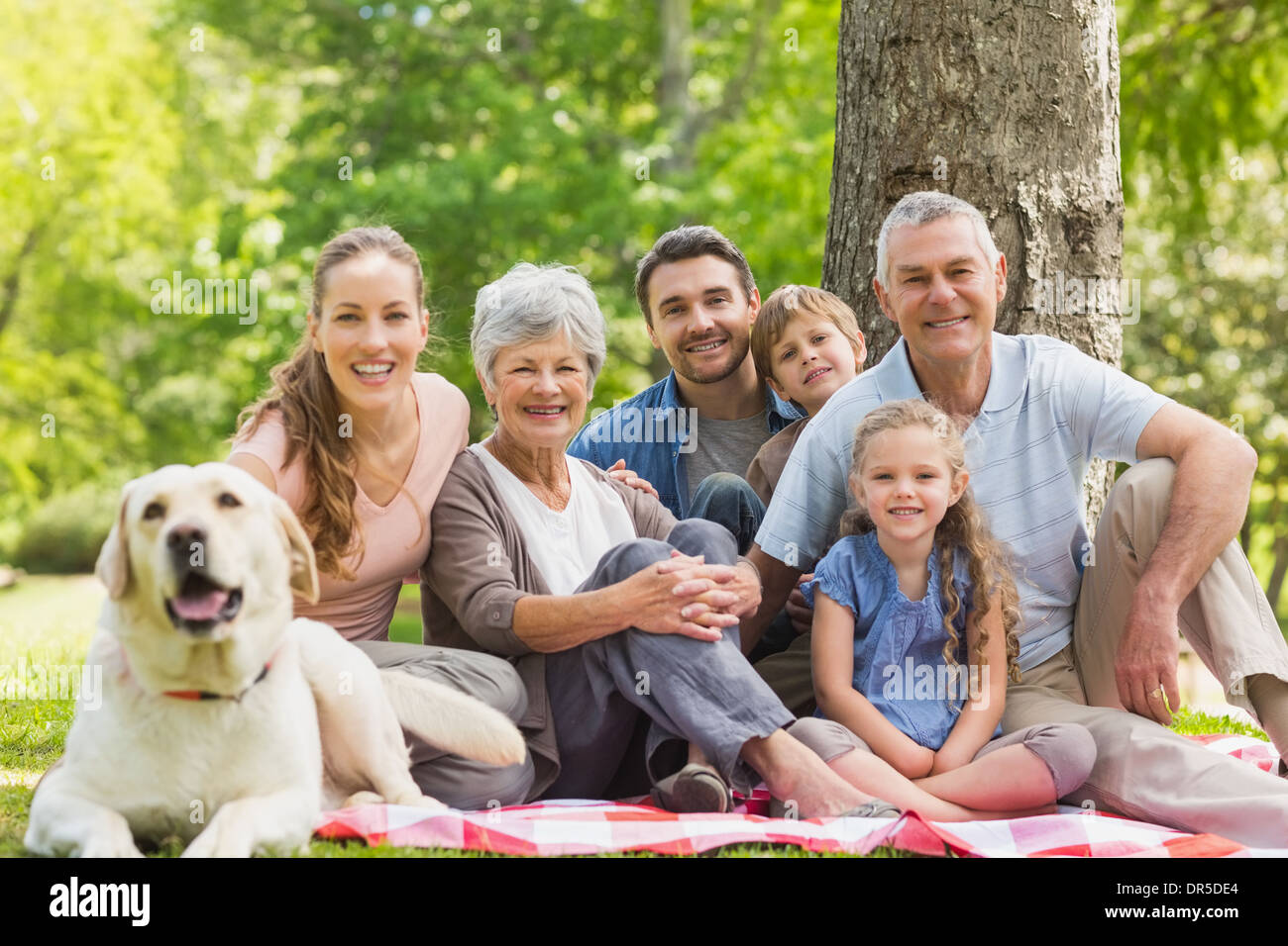 Famille élargie avec leur chien de compagnie assis à park Banque D'Images