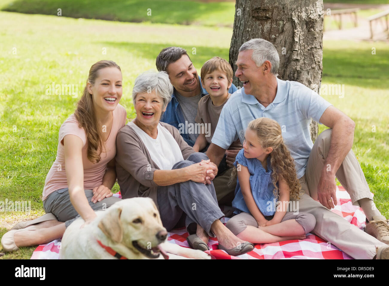 Famille élargie avec leur chien de compagnie au park Banque D'Images