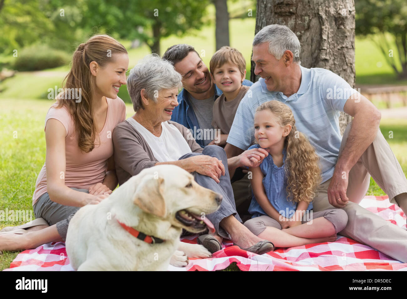 Famille élargie avec leur chien de compagnie assis à park Banque D'Images