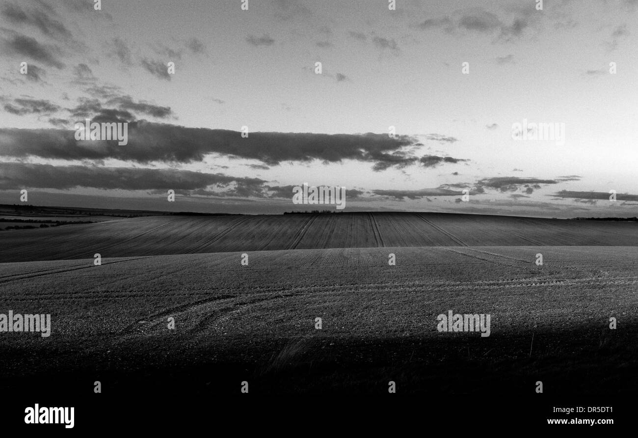 Terres agricoles vallonnées Cambridgeshire, Angleterre, Royaume-Uni. Janvier 2014 à au nord de Grand Chishill, l'un des endroits les plus élevés en Banque D'Images