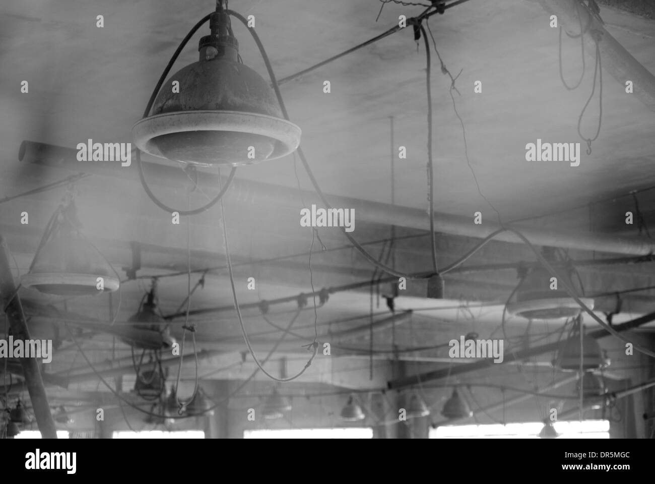 Lampe sur le plafond d'un vieux hangar abandonné Banque D'Images