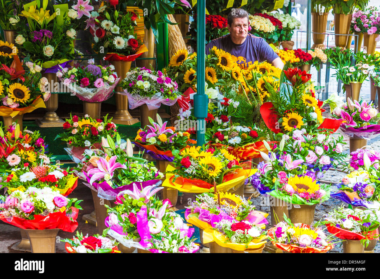 Un stand au marché aux fleurs dans la place du marché de Wroclaw Sel ou Plac Solny. Banque D'Images