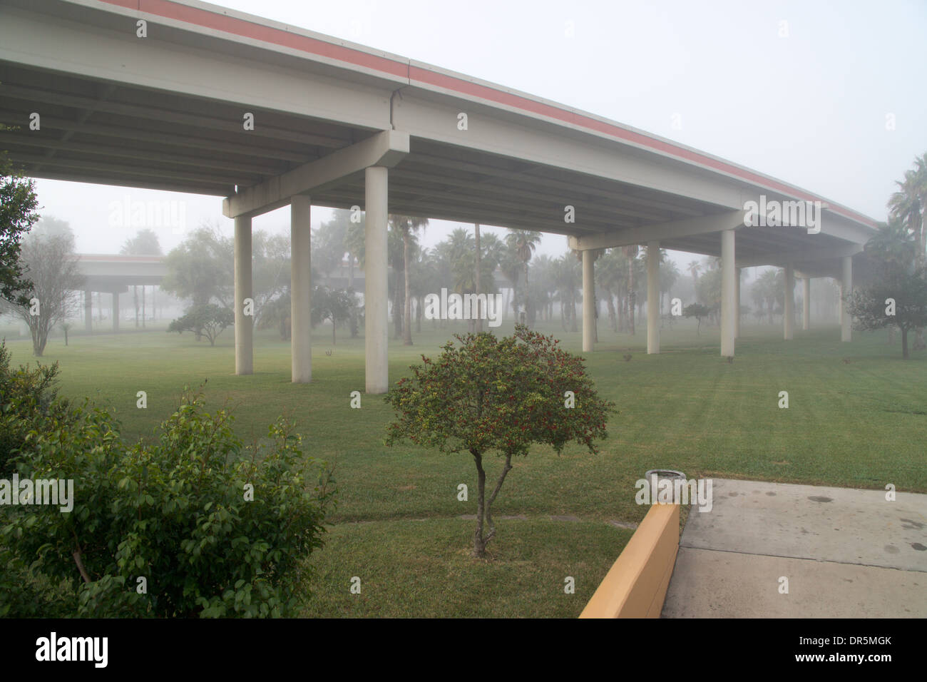 Jardin arboricole au Texas Information Centre de Harlingen, TX USA. Le matin, le brouillard enveloppé le jardin dans un cadre agréable, doux li Banque D'Images