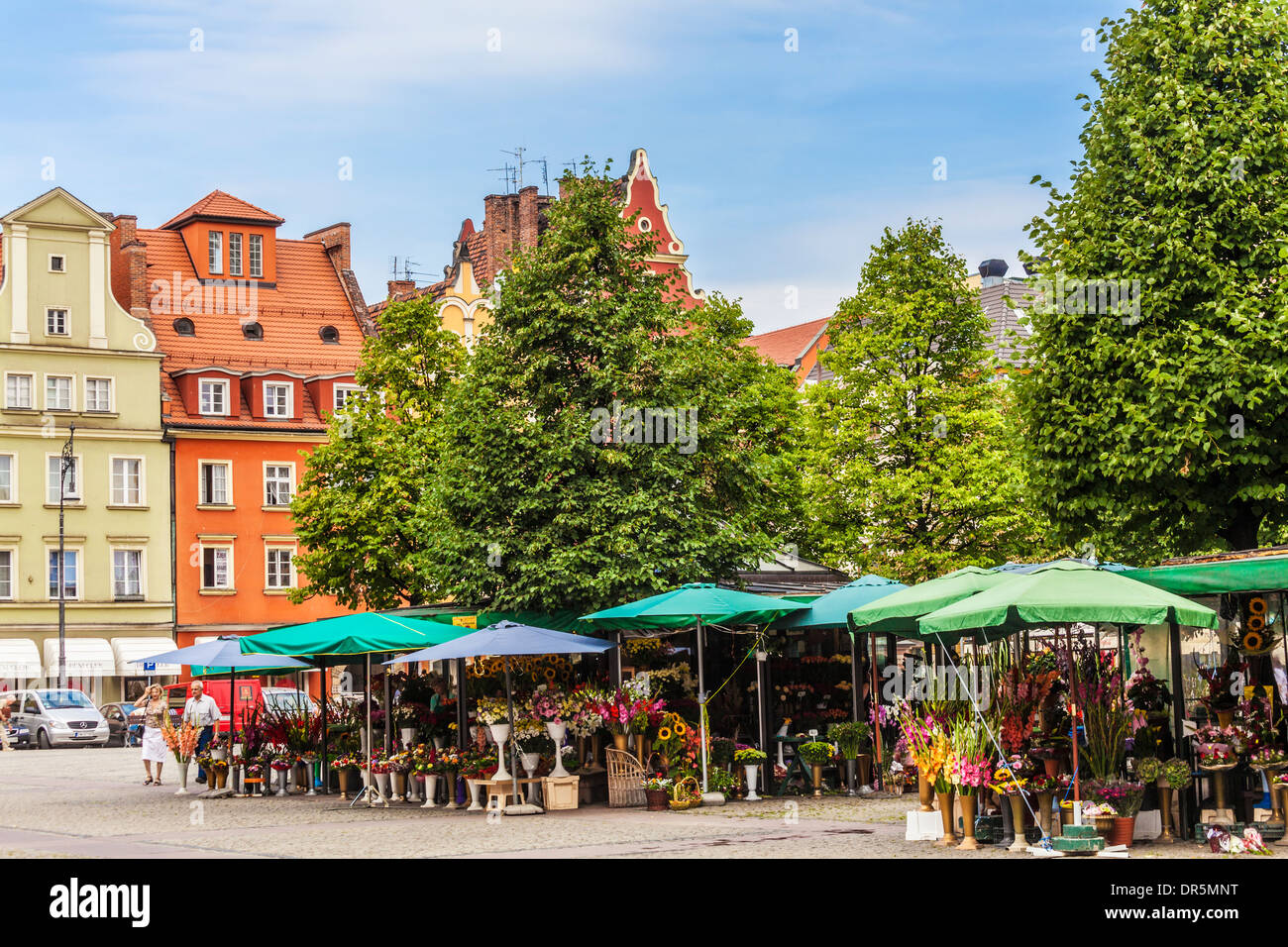 Le marché aux fleurs dans la place du marché de Wroclaw Sel ou Plac Solny. Banque D'Images