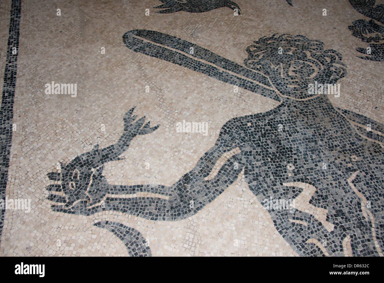 L'Italie, d'Herculanum. Ville couverte de cendres lorsque Mt. Éruption du Vésuve, en 79 après J.-C. Womans bath house, détail de mosaïque. Banque D'Images