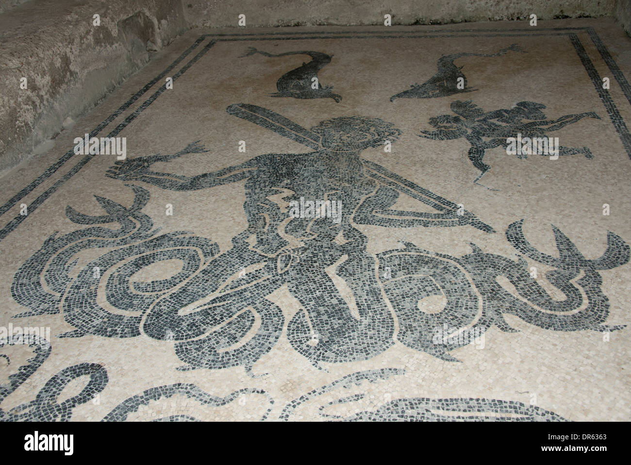 L'Italie, d'Herculanum. Ville couverte de cendres lorsque Mt. Éruption du Vésuve, en 79 après J.-C. Womans bath house, détail de mosaïque. Banque D'Images
