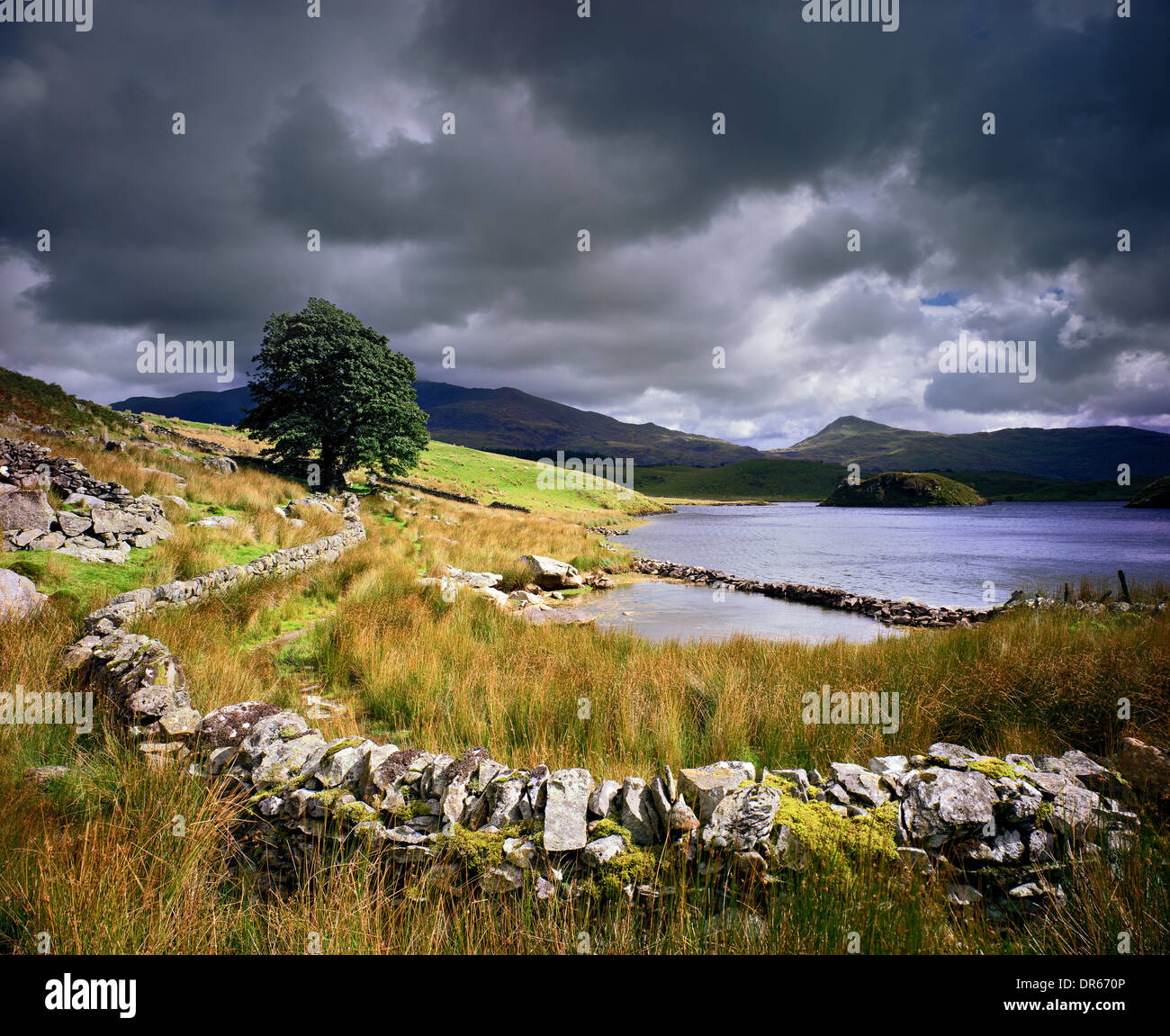 Une vue de llyn dywarchen dans le parc national de Snowdonia, Pays de Galles, Royaume-Uni Banque D'Images