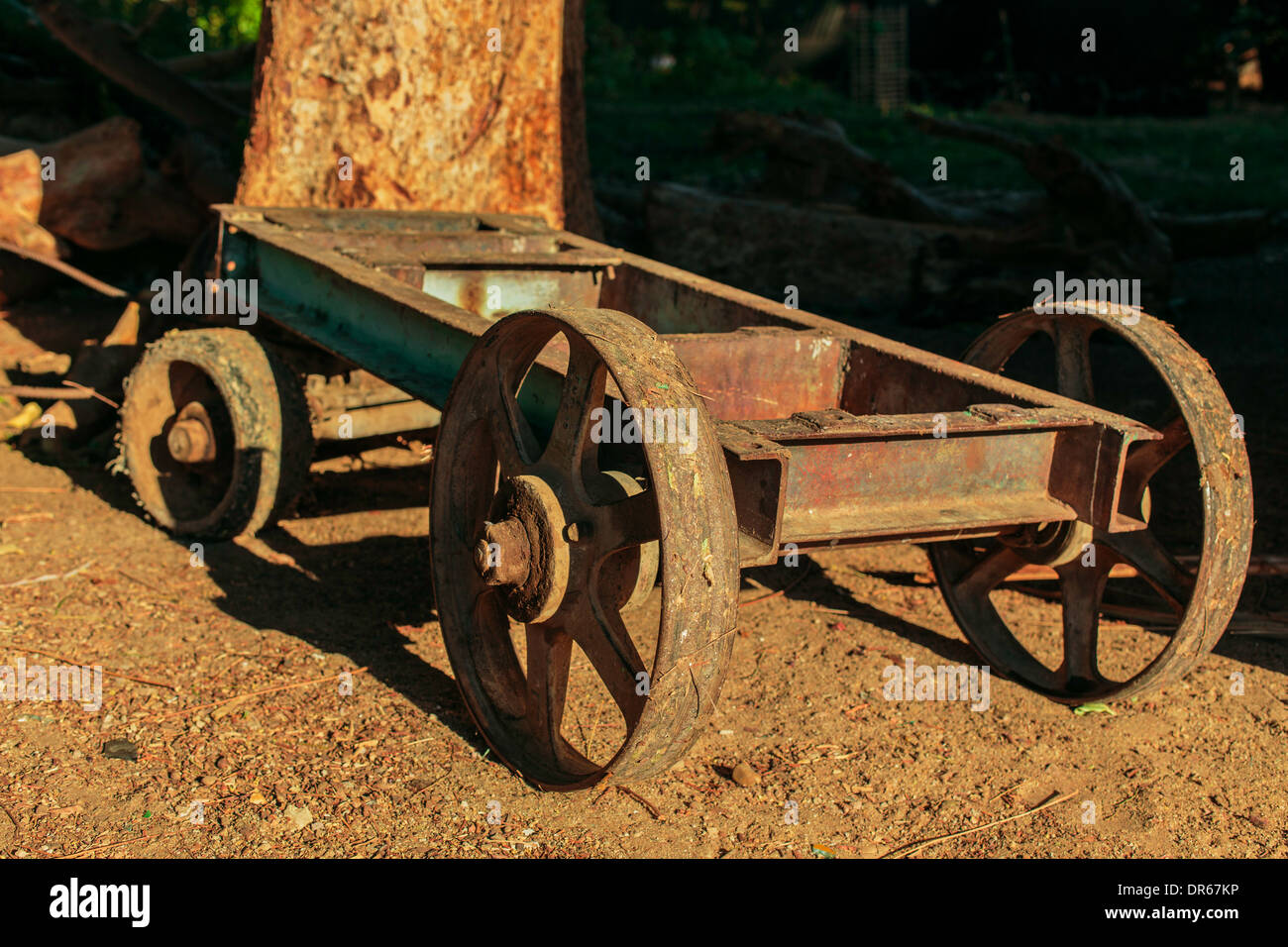Arbre de roue en fer rouille panier junk scrap vert arbre ombre légère rusty Egypte Banque D'Images