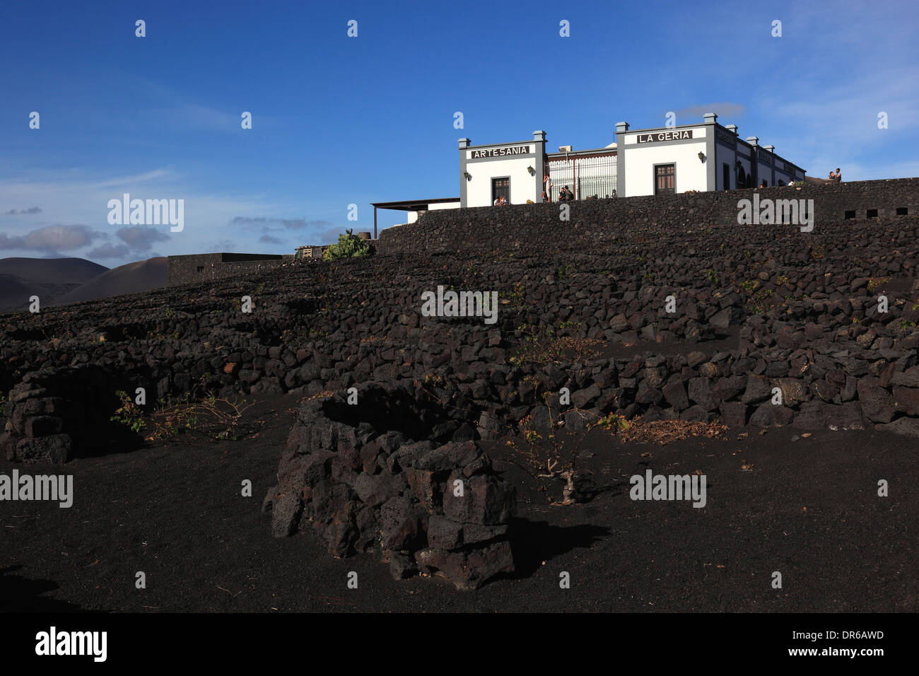 Bodega La Geria et Winery, Lanzarote, îles canaries, espagne Banque D'Images