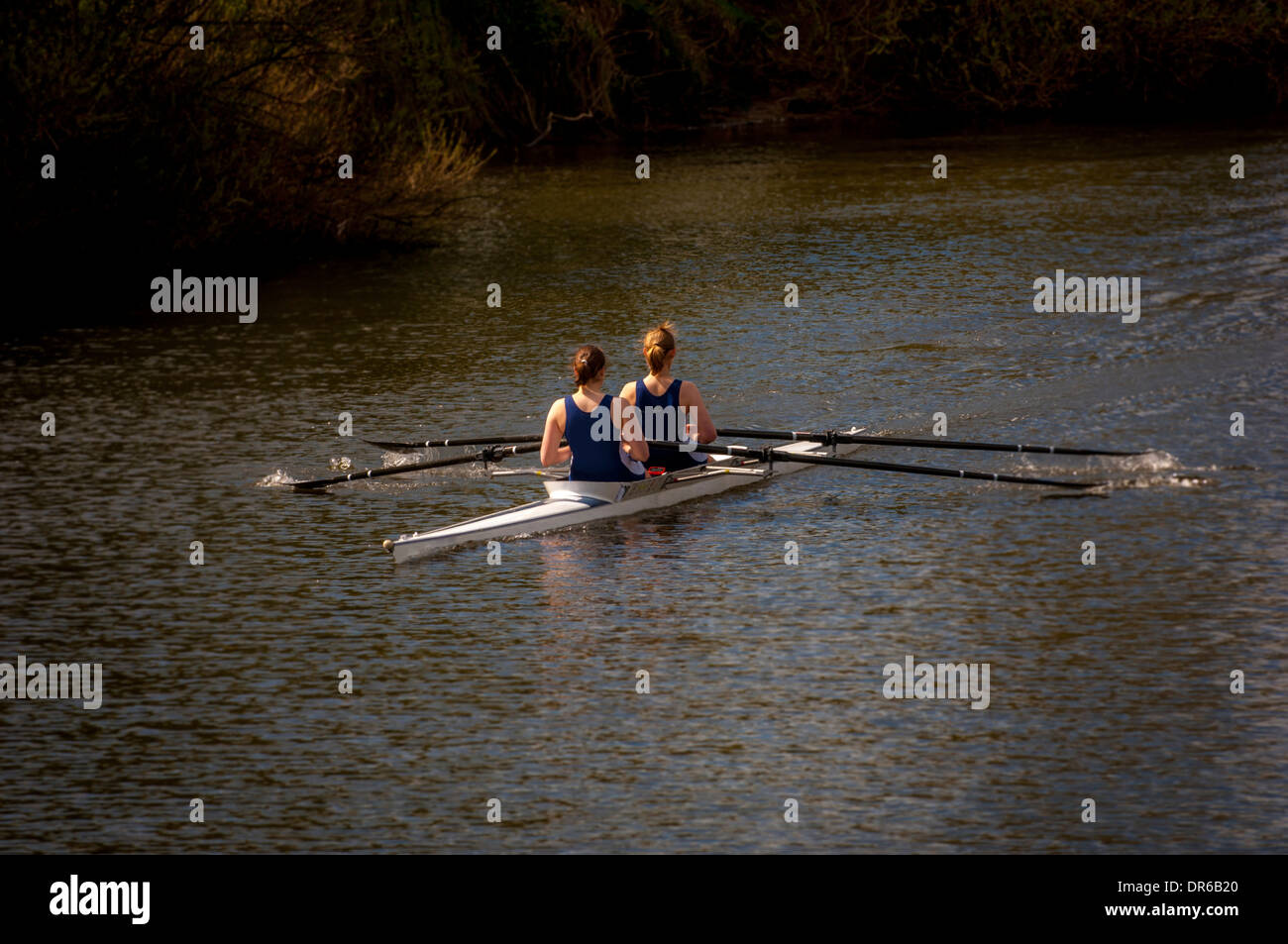 Rameurs dans le double scull Banque D'Images