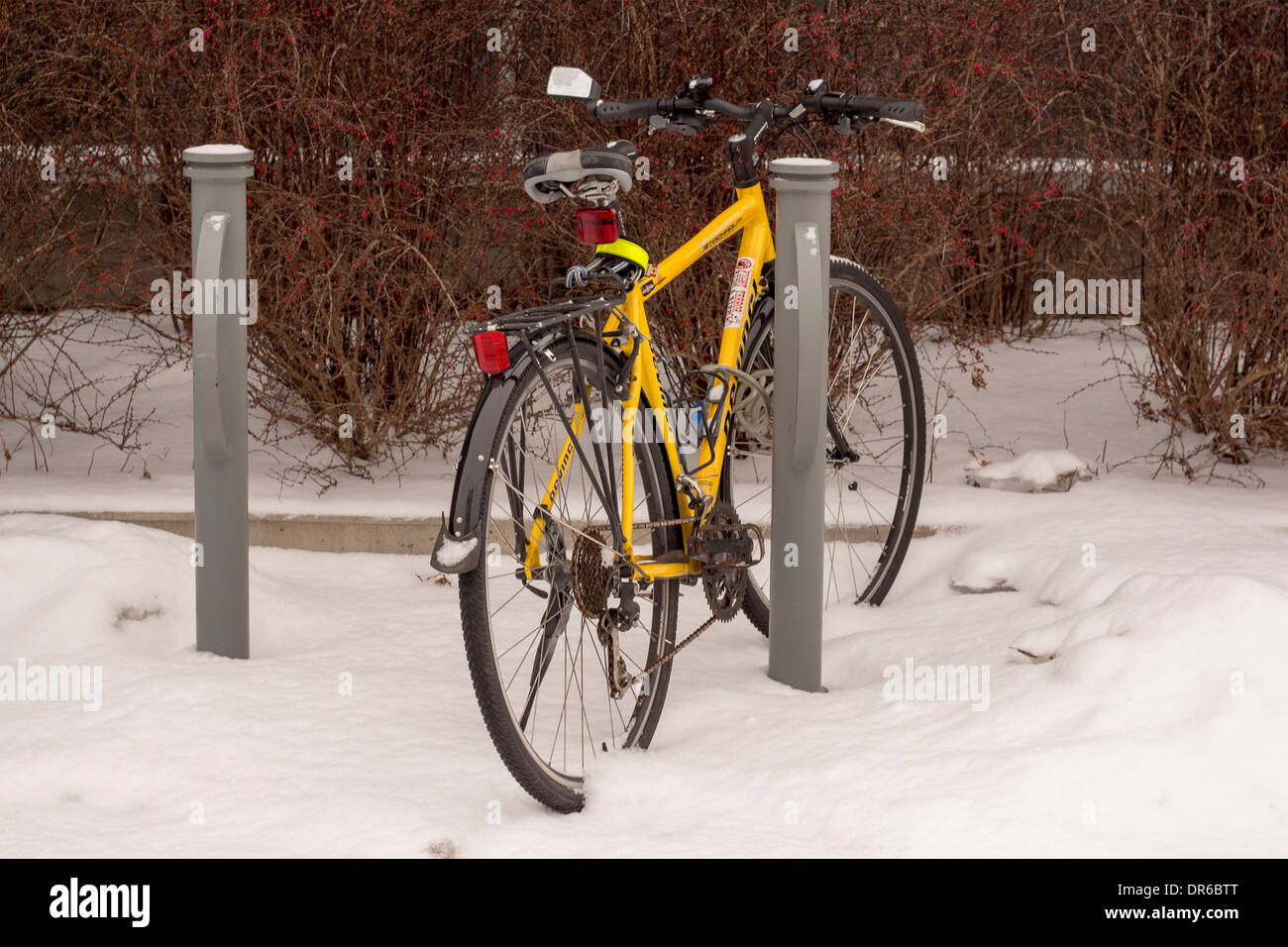Location de support à bicyclettes dans la neige Banque D'Images