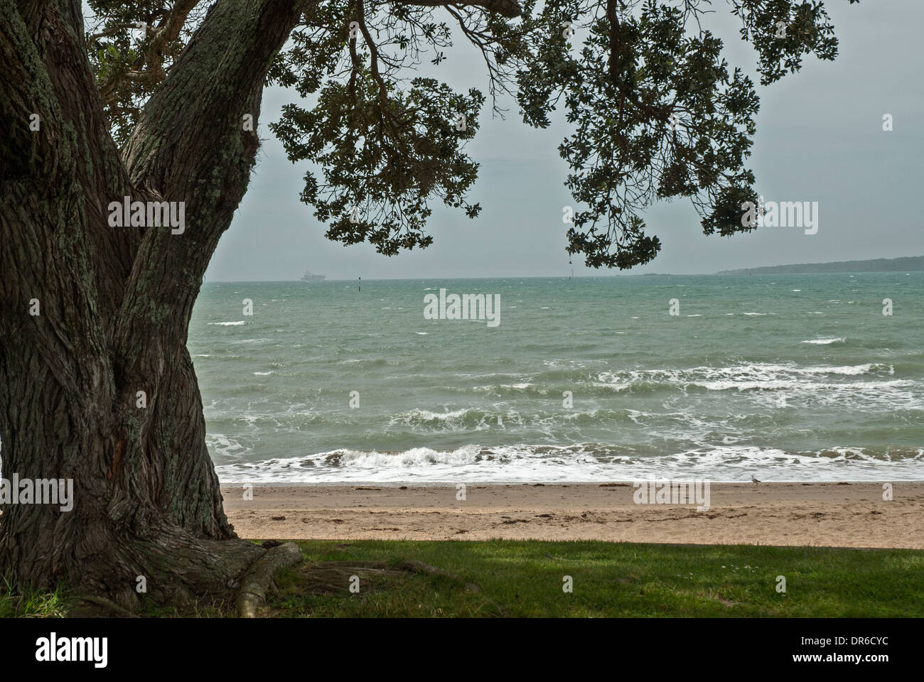 Plage à col étroit à Devonport, Auckland, île du Nord, Nouvelle-Zélande Banque D'Images