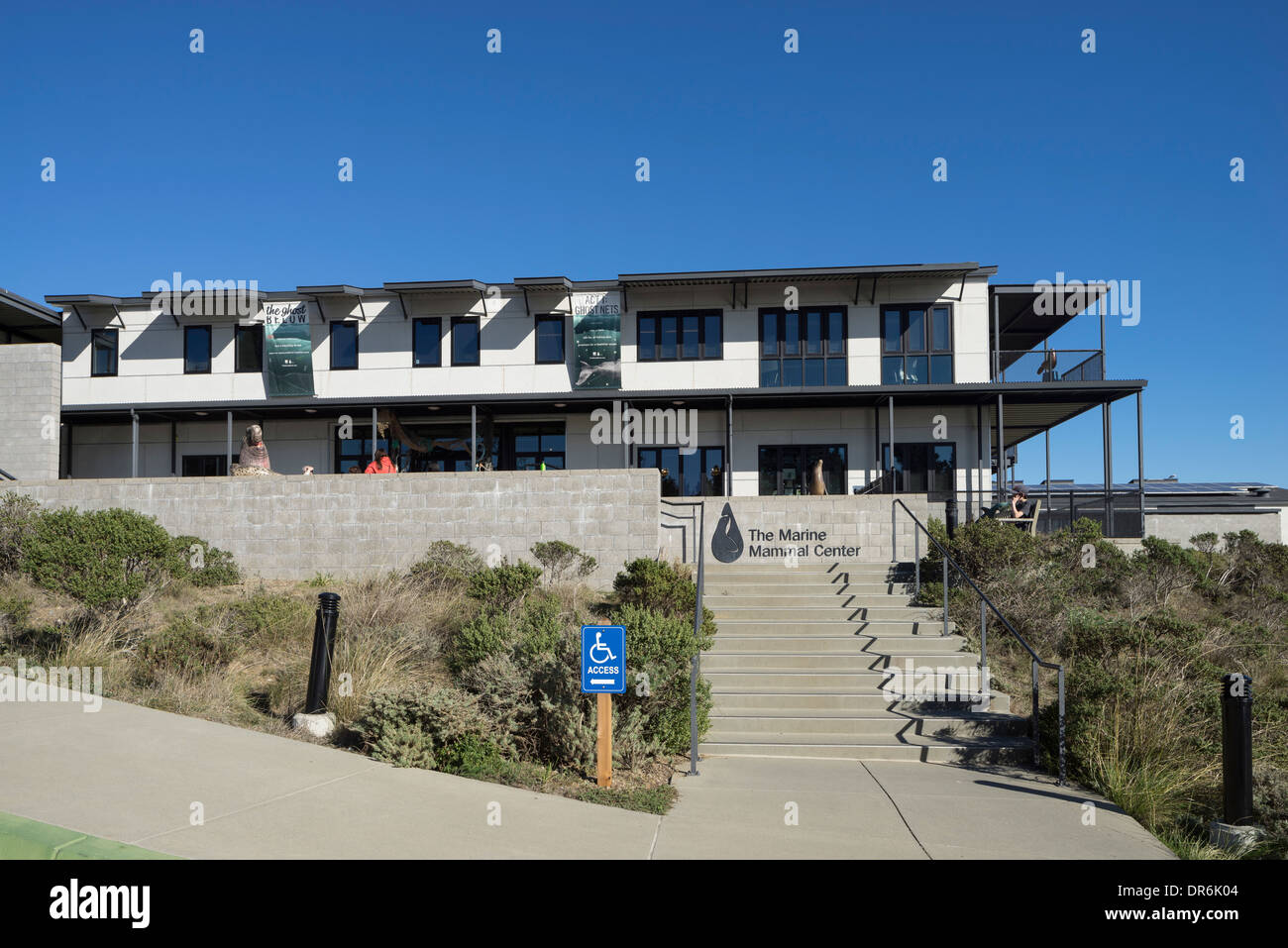 Californie Marine Mammal Center, Marin Headlands, Sausalito, CA. Banque D'Images