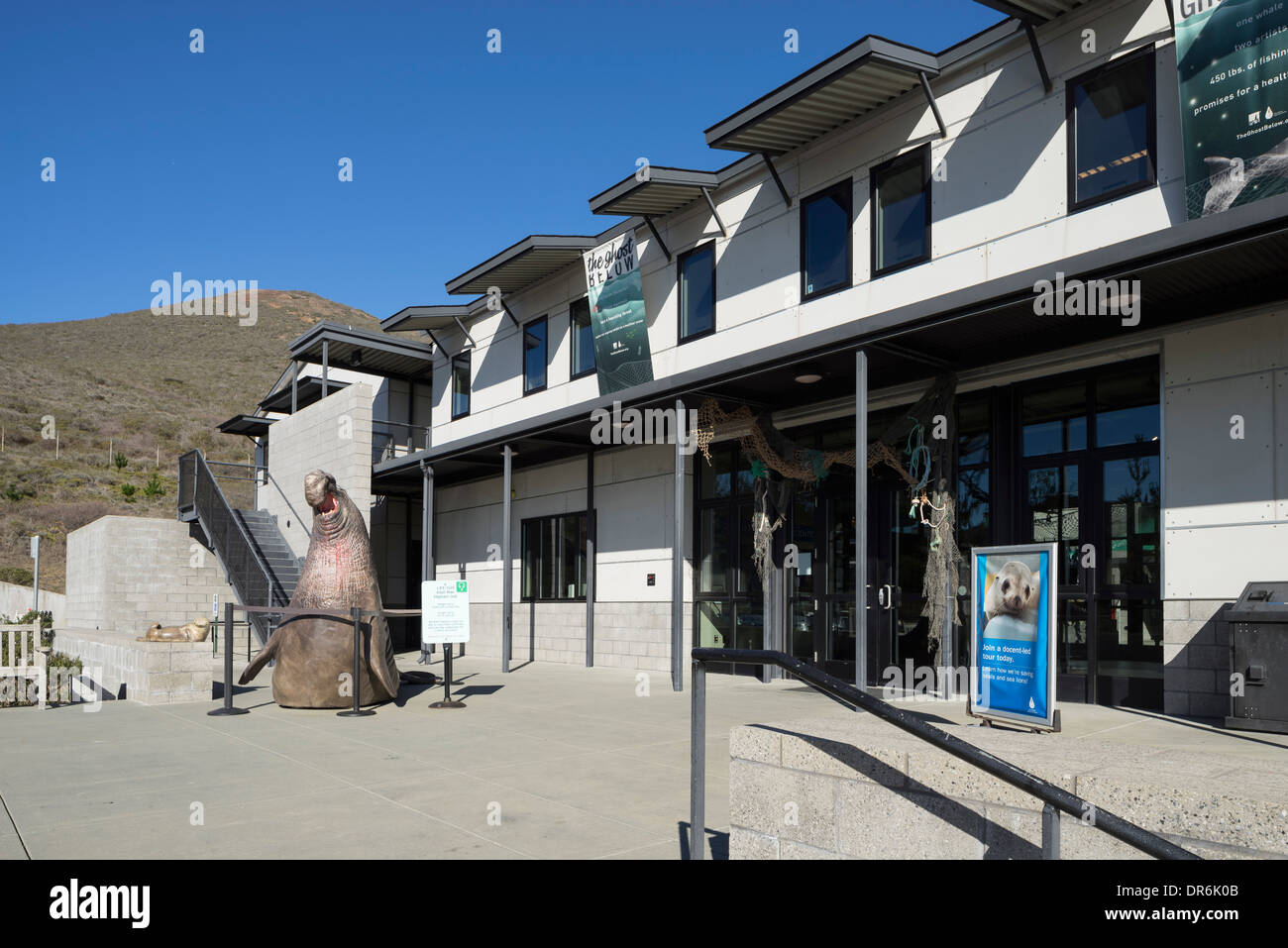 Californie Marine Mammal Center, Marin Headlands, Sausalito, CA. Banque D'Images