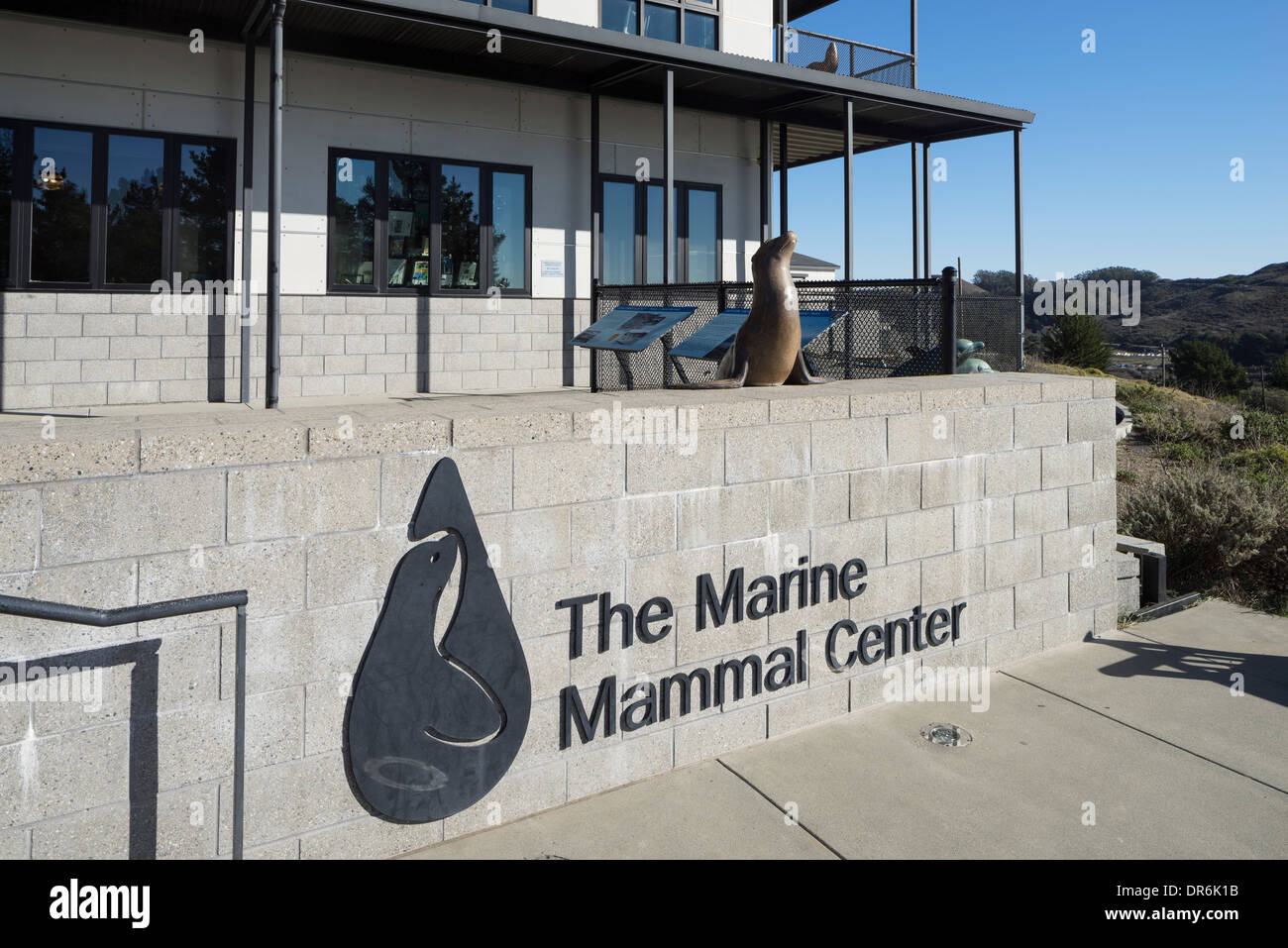 Californie Marine Mammal Center, Marin Headlands, Sausalito, CA. Banque D'Images