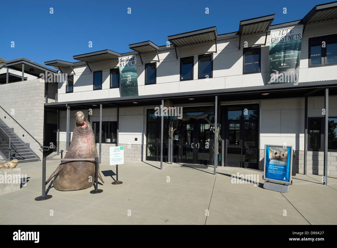 Californie Marine Mammal Center, Marin Headlands, Sausalito, CA. Banque D'Images