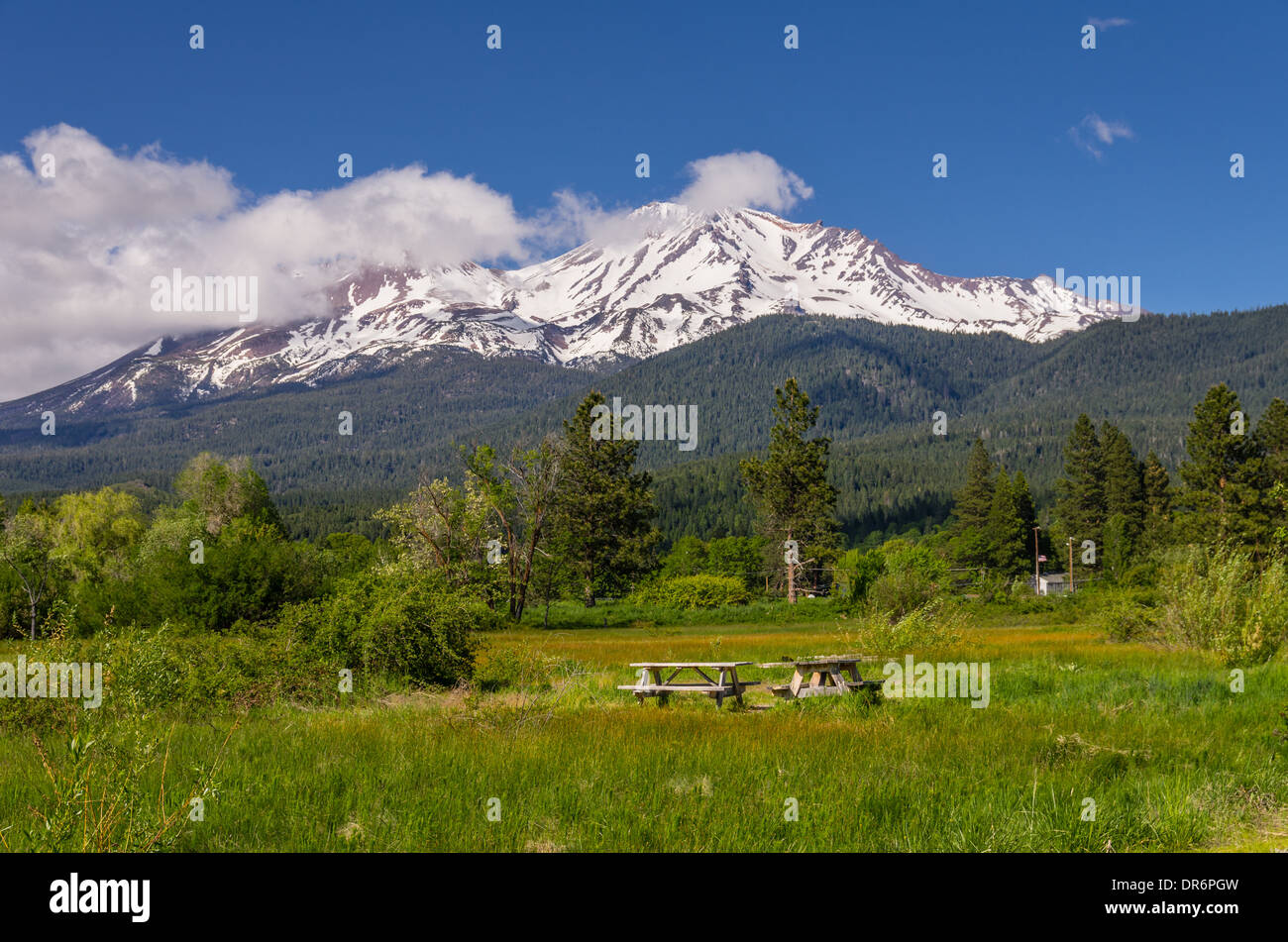 Vue sur le Mont Shasta montrant des tables de pique-nique dans un parc. Le mont Shasta, Californie Banque D'Images