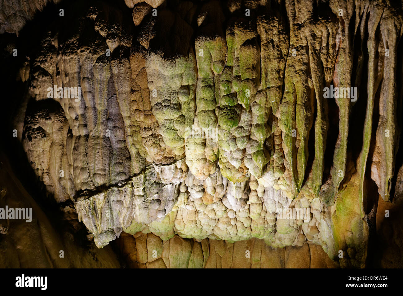 Turquie, Alanya, grotte calcaire Magarasi Dim Banque D'Images