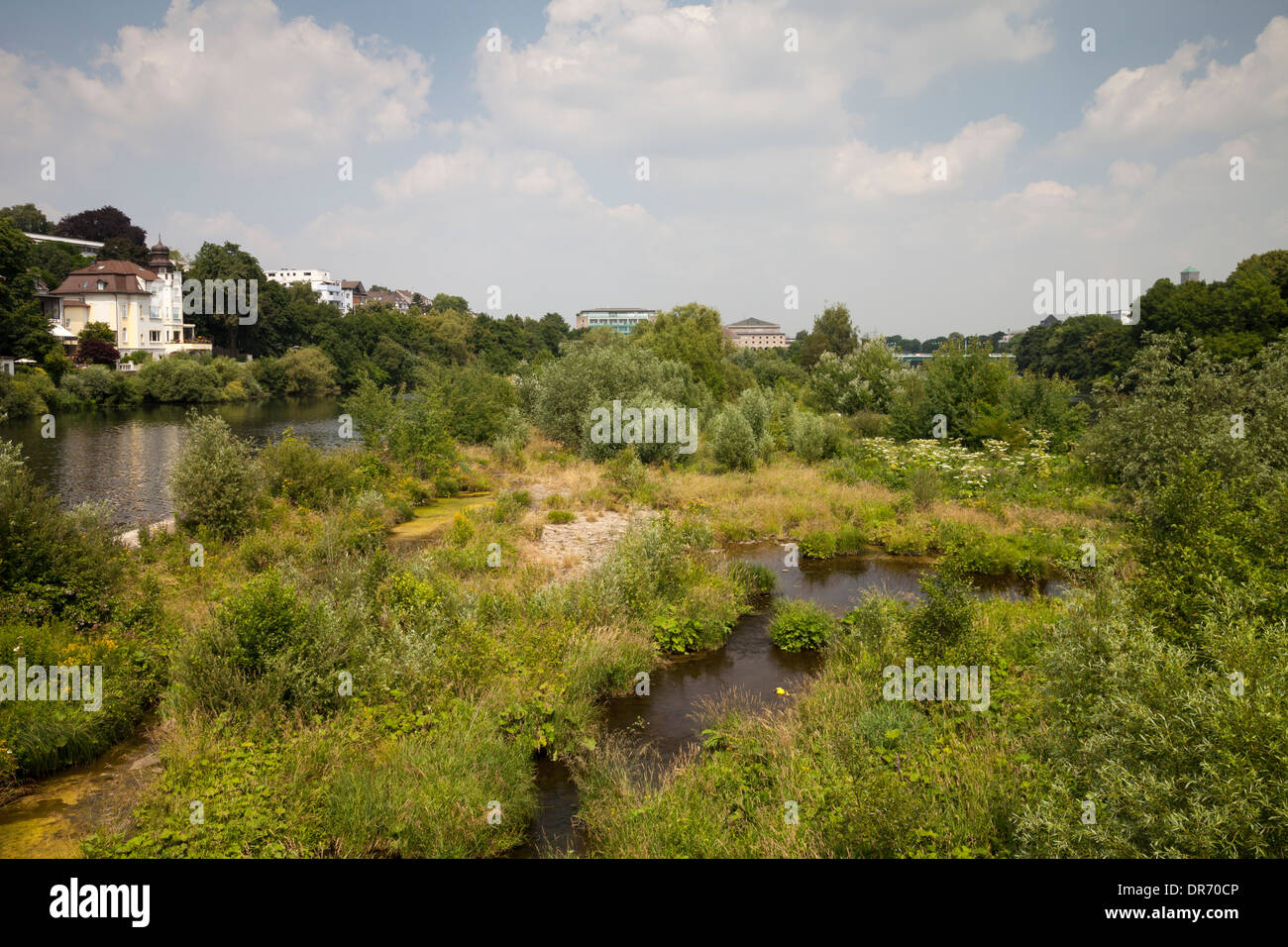 L'Allemagne, en Rhénanie du Nord-Westphalie, Muelheim an der Ruhr, la réserve naturelle du Saarn-Mendener Ruhraue Banque D'Images